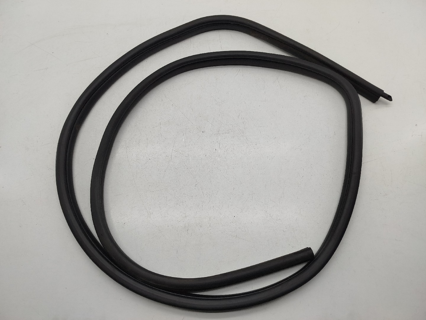 Borracha Porta Frente Direito BMW 1 (E87) | 03 - 13