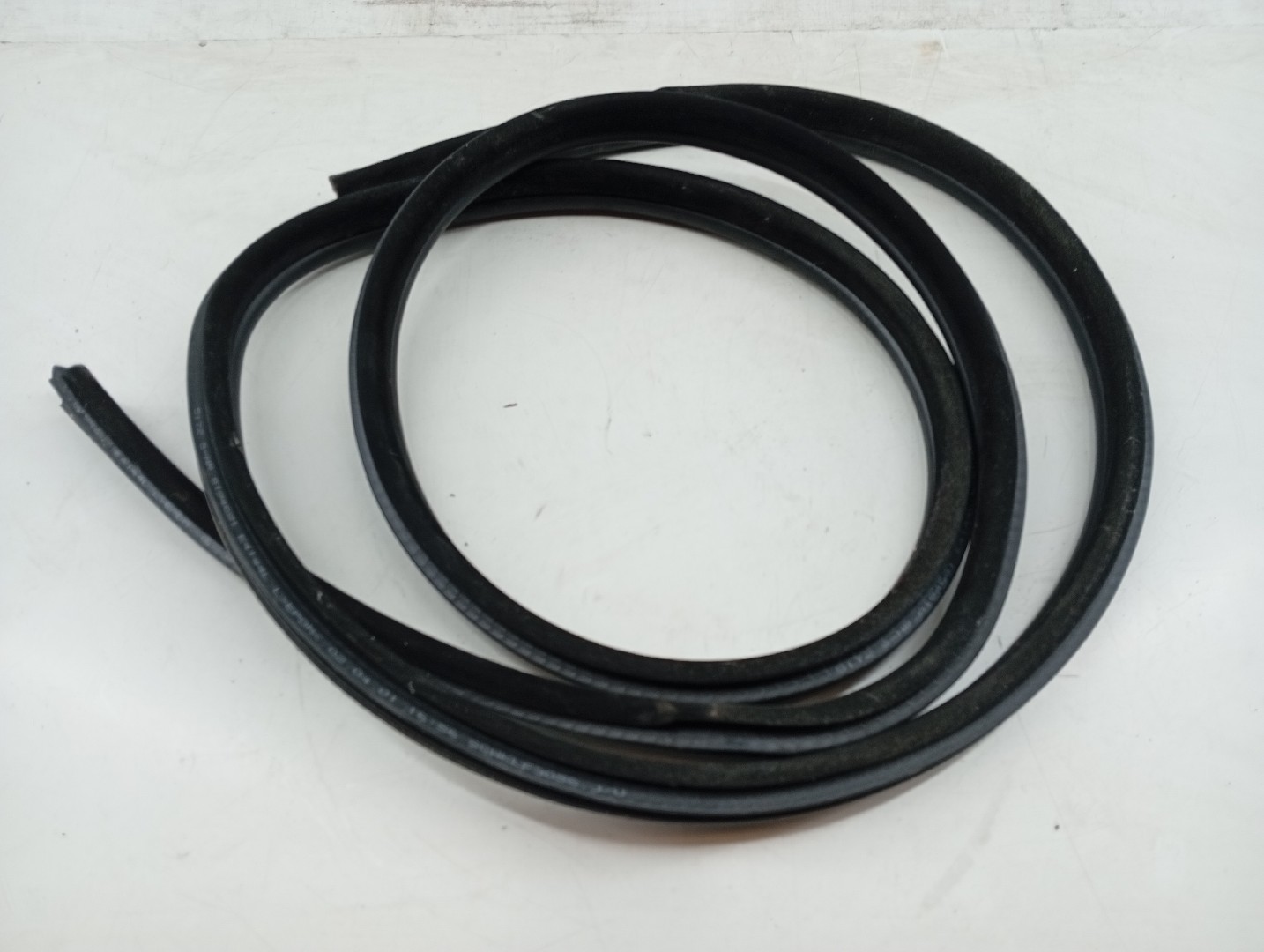 Borracha Porta Frente Esquerdo BMW 3 Touring (E46) | 99 - 05