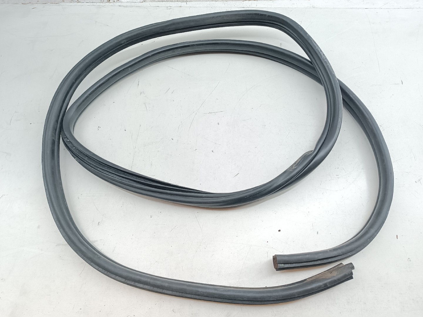 Borracha Da Porta Traseira Esquerda BMW 1 (E87) | 03 - 13