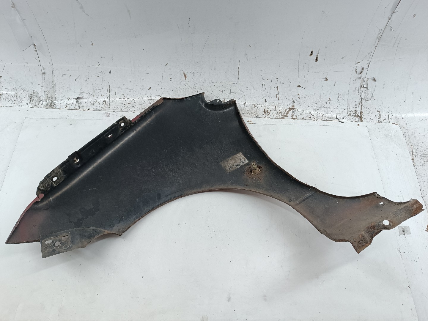 Guarda Lamas Direito RENAULT TWINGO I (C06_) | 93 - 12