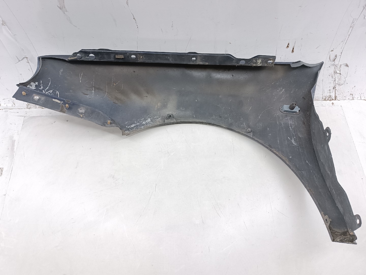 Guarda Lamas Direito VOLKSWAGEN GOLF IV (1J1) | 97 - 07