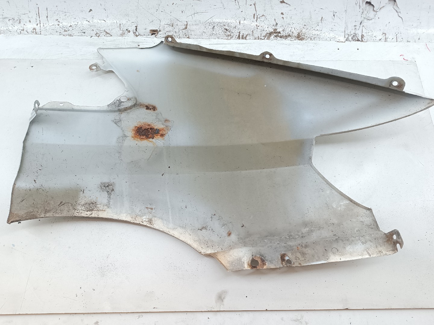 Guarda Lamas Esquerdo FORD TRANSIT Caixa (FA_ _) | 00 - 06