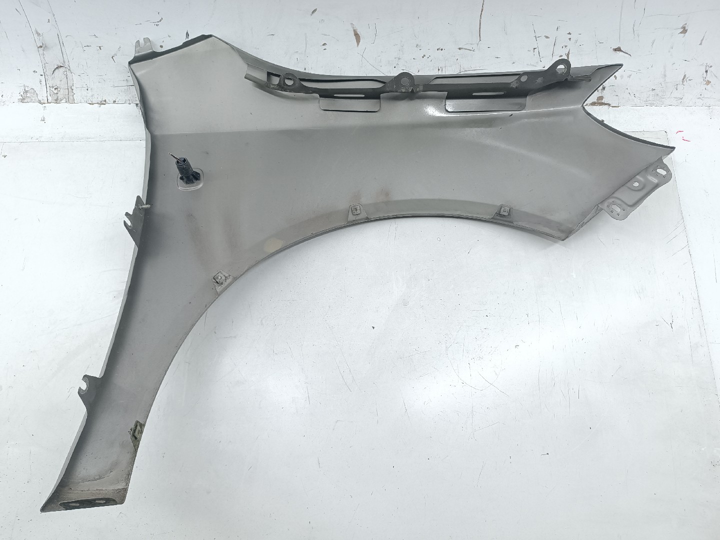 Guarda Lamas Esquerdo SKODA FABIA II (542) | 06 - 14