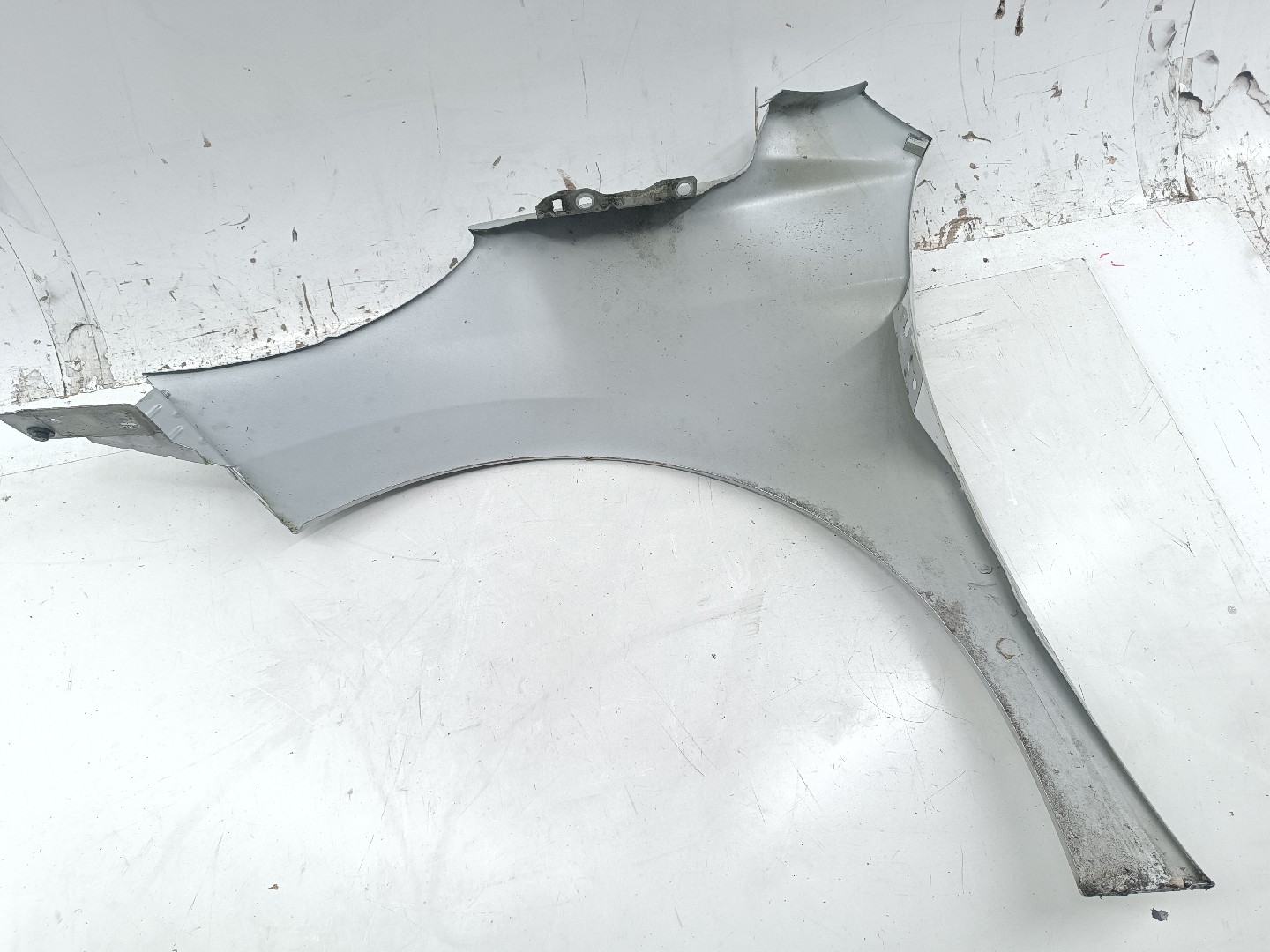 Guarda Lamas Direito PEUGEOT 207 (WA_, WC_) | 06 - 15