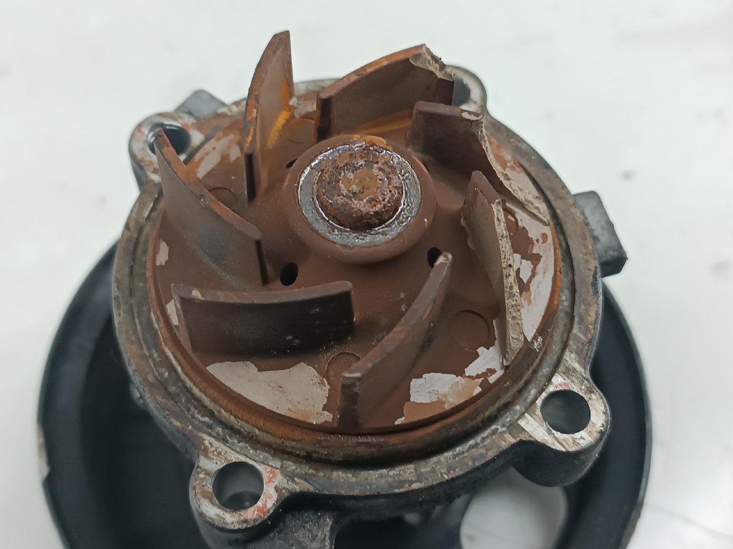 Bomba de Água FIAT TIPO três volumes (356_) | 15 -  Imagem-2