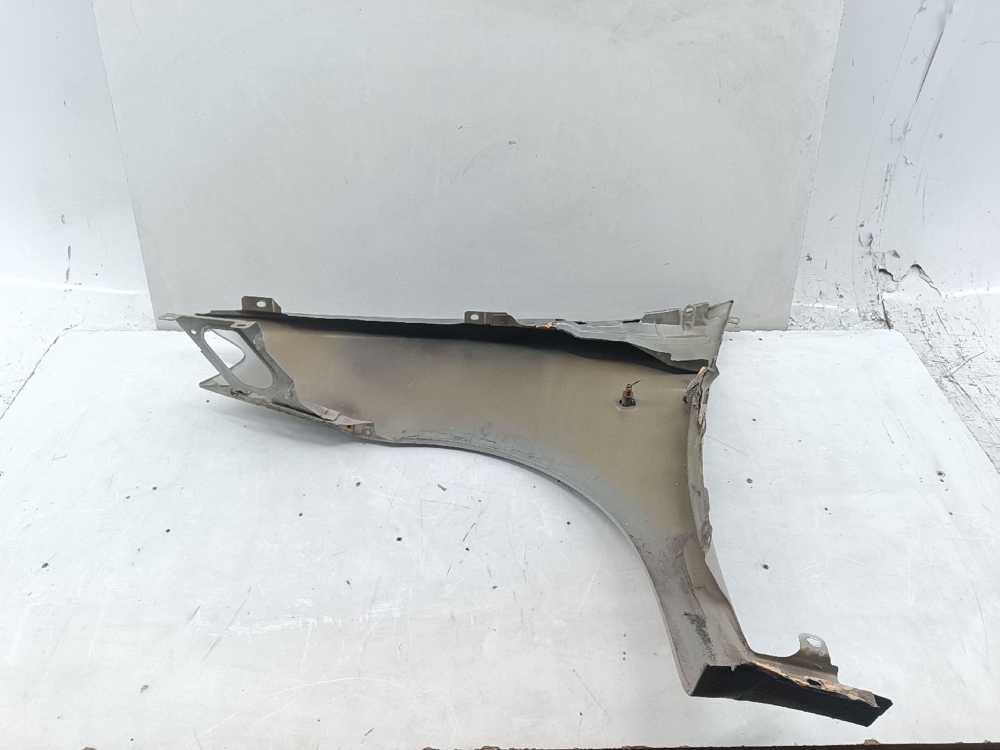 Guarda Lamas Direito FIAT PUNTO (188_) | 99 - 12