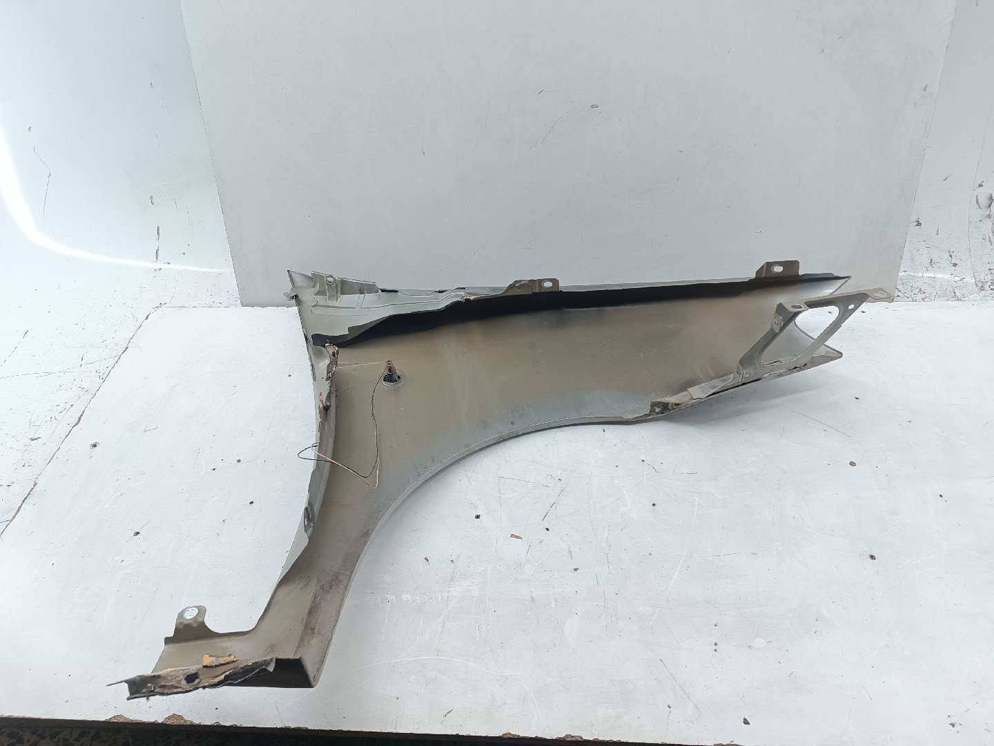 Guarda Lamas Esquerdo FIAT PUNTO (188_) | 99 - 12