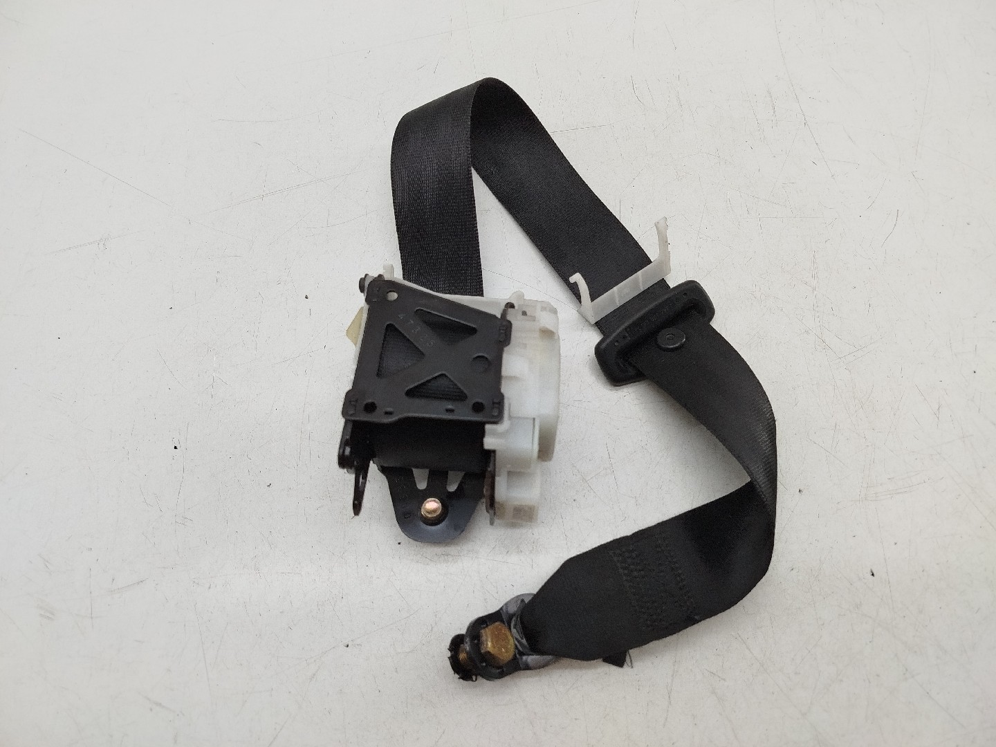 Cinto Traseiro Esquerdo AUDI A4 Avant (8E5, B6) | 00 - 05