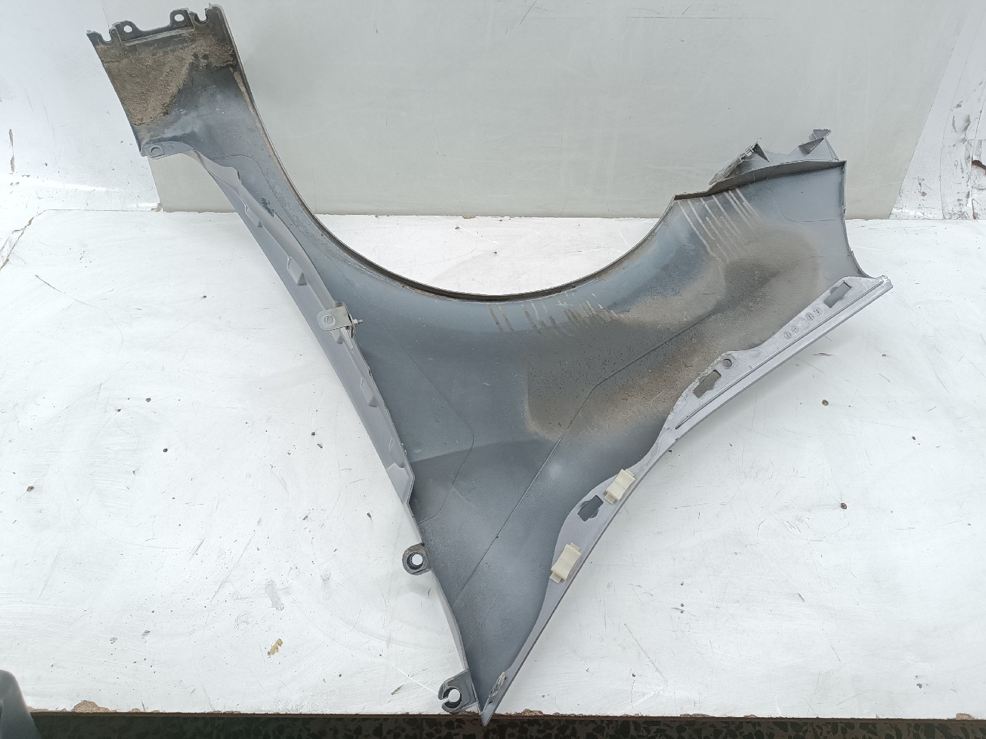 Guarda Lamas Direito RENAULT MODUS / GRAND MODUS (F/JP0_) | 04 - 