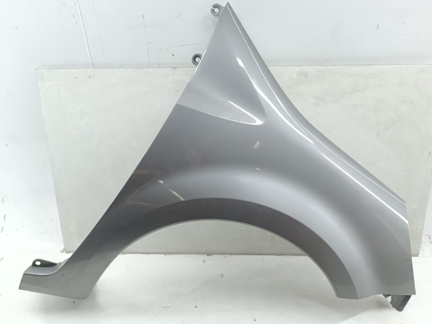 Guarda Lamas Direito RENAULT MODUS / GRAND MODUS (F/JP0_) | 04 -  Imagem-8