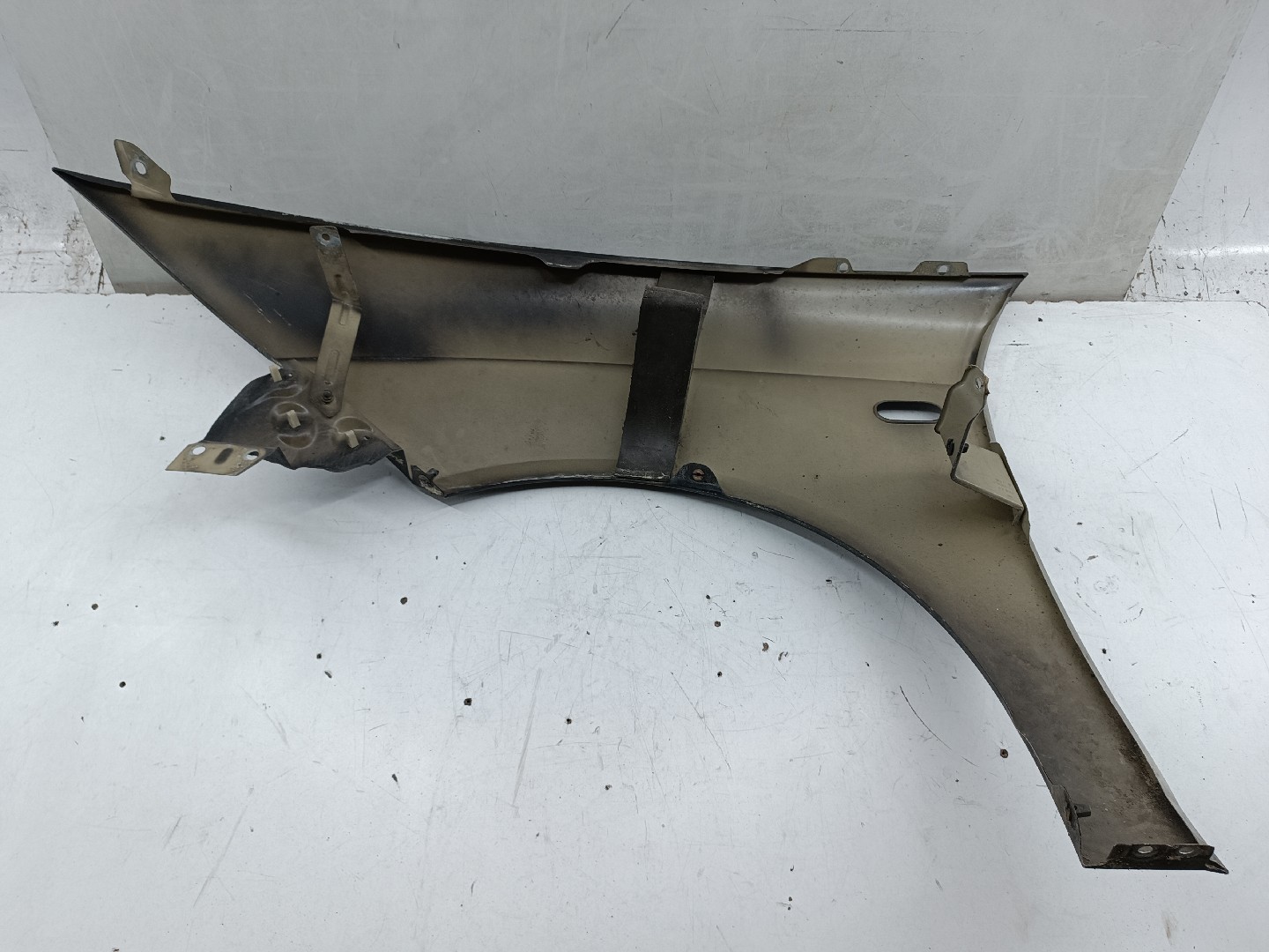 Guarda Lamas Direito SEAT TOLEDO III (5P2) | 04 - 09