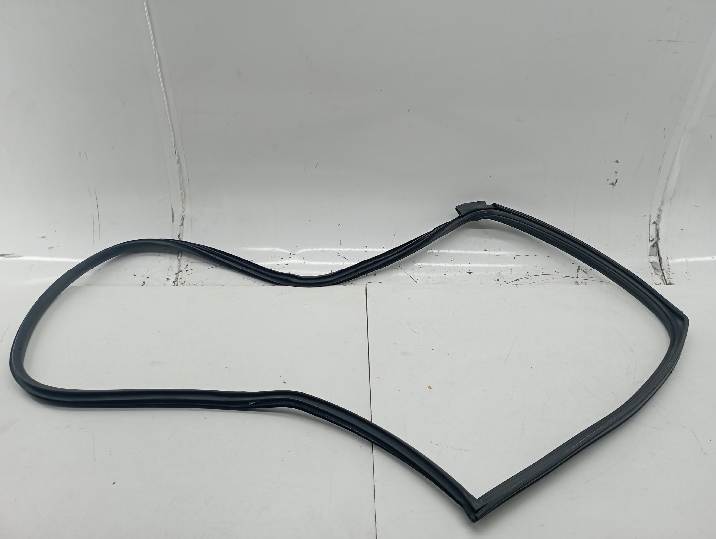 Borracha Porta Frente Esquerdo MINI MINI (R50, R53) | 01 - 06