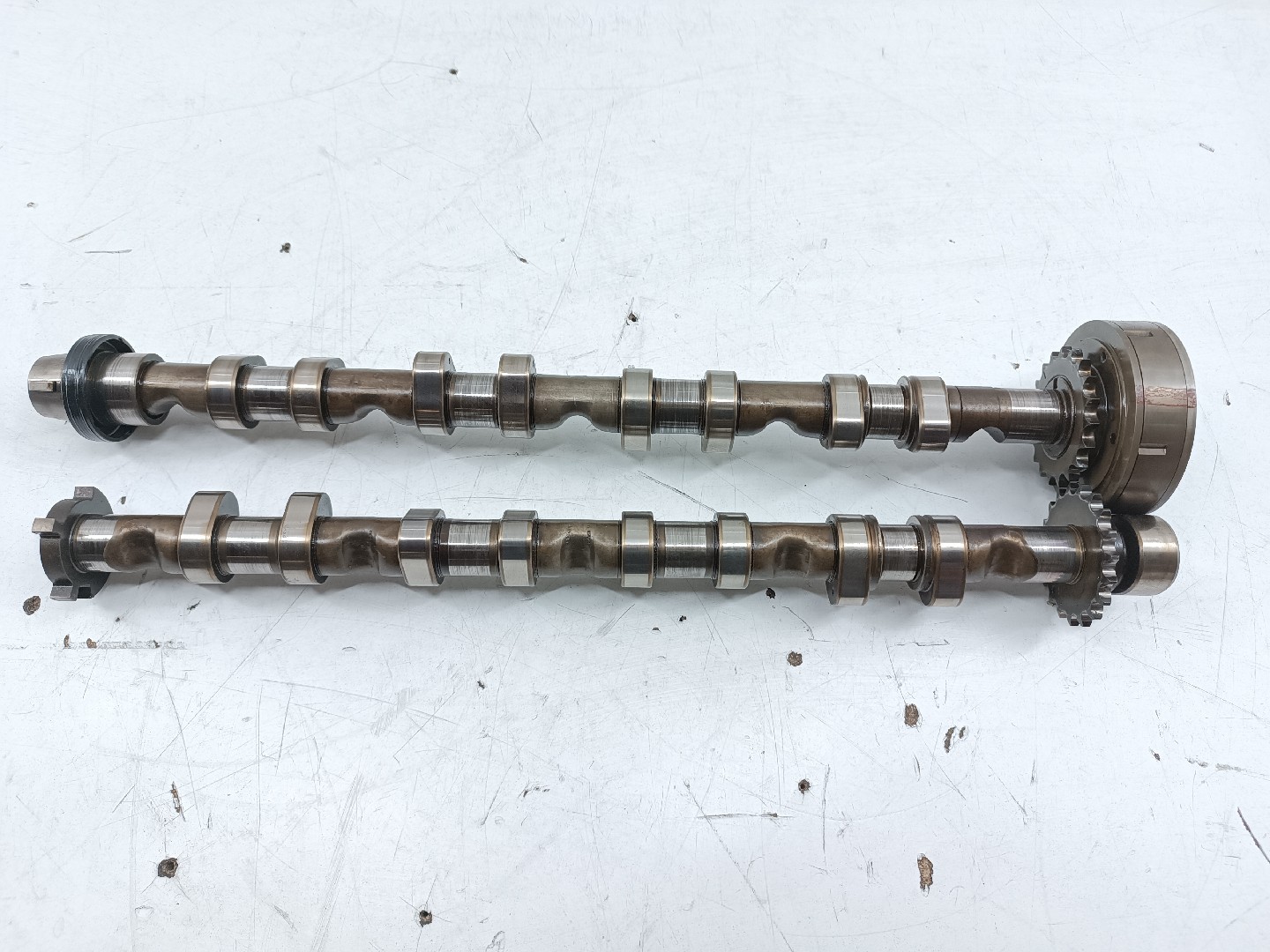 Árvore de cames AUDI A3 (8L1) | 96 - 06