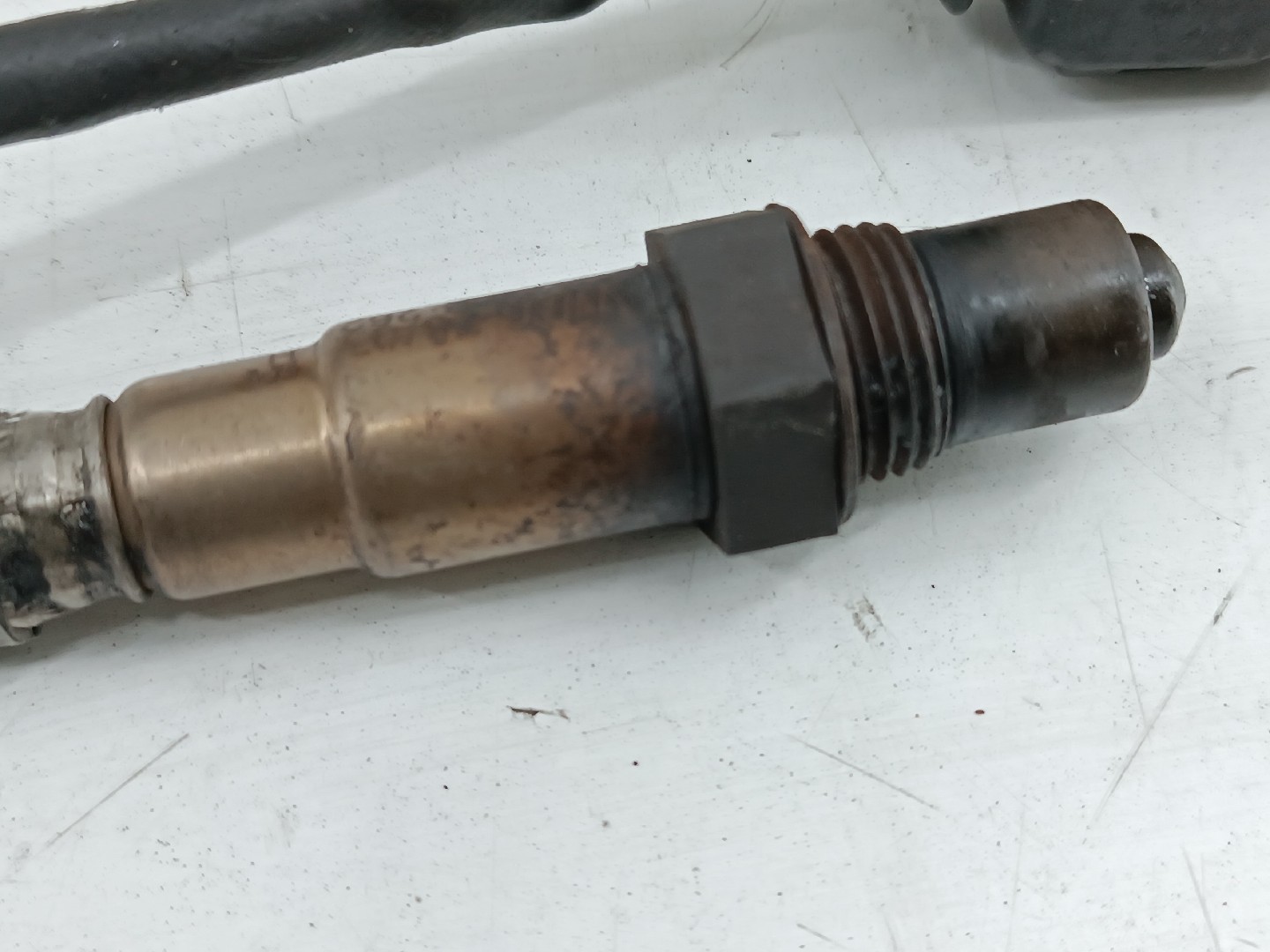 Sonda Lambda AUDI A3 (8L1) | 96 - 06 Imagem-1