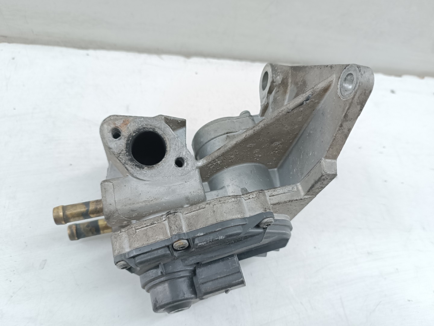 Válvula EGR AUDI A3 (8L1) | 96 - 06