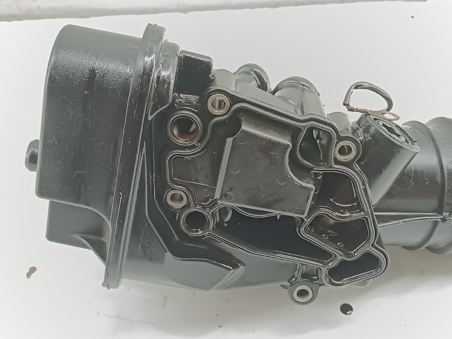 Permutador de Óleo AUDI A3 (8L1) | 96 - 06 Imagem-1