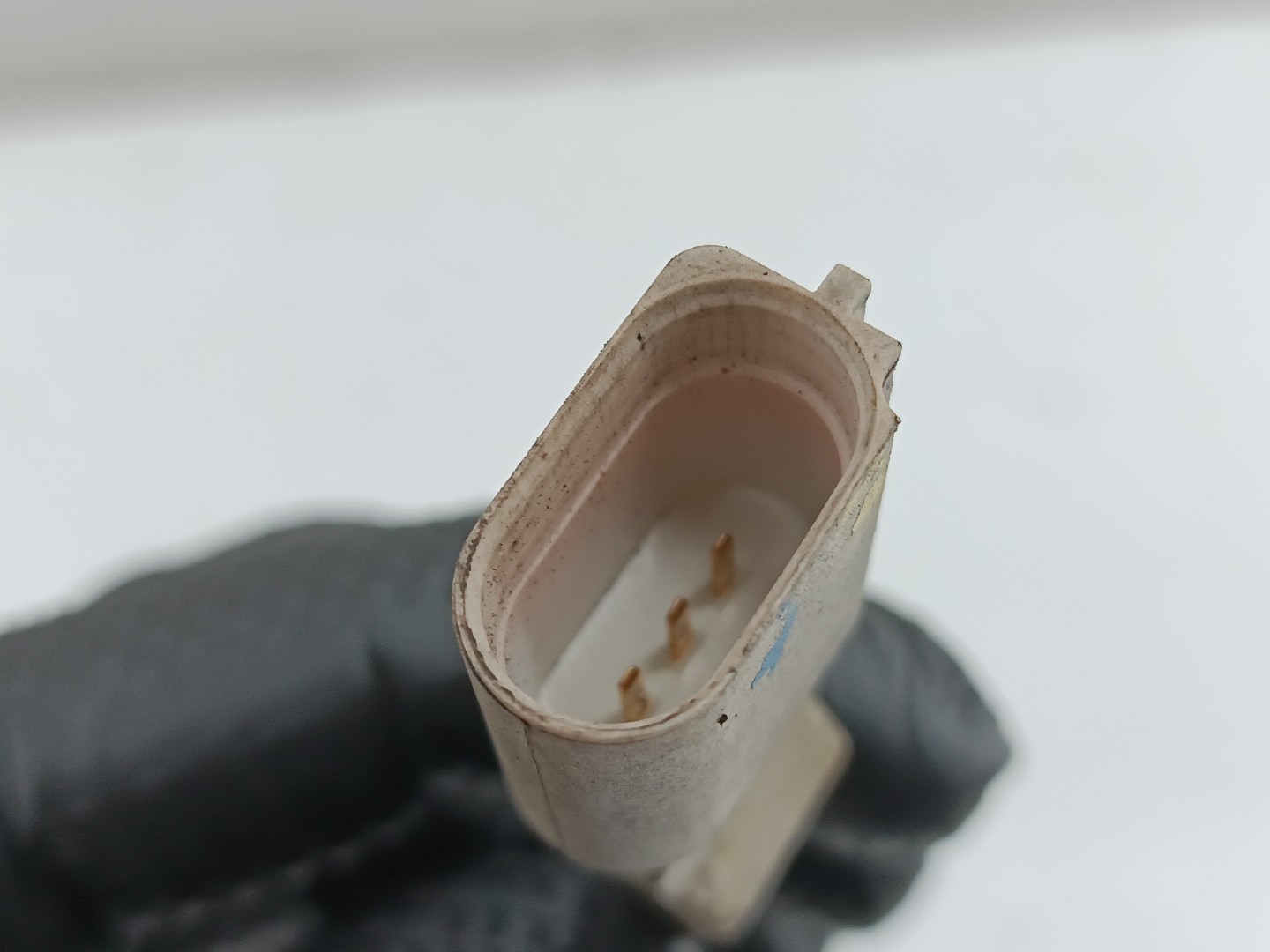 Sensor de detonação AUDI A3 (8L1) | 96 - 06 Imagem-1