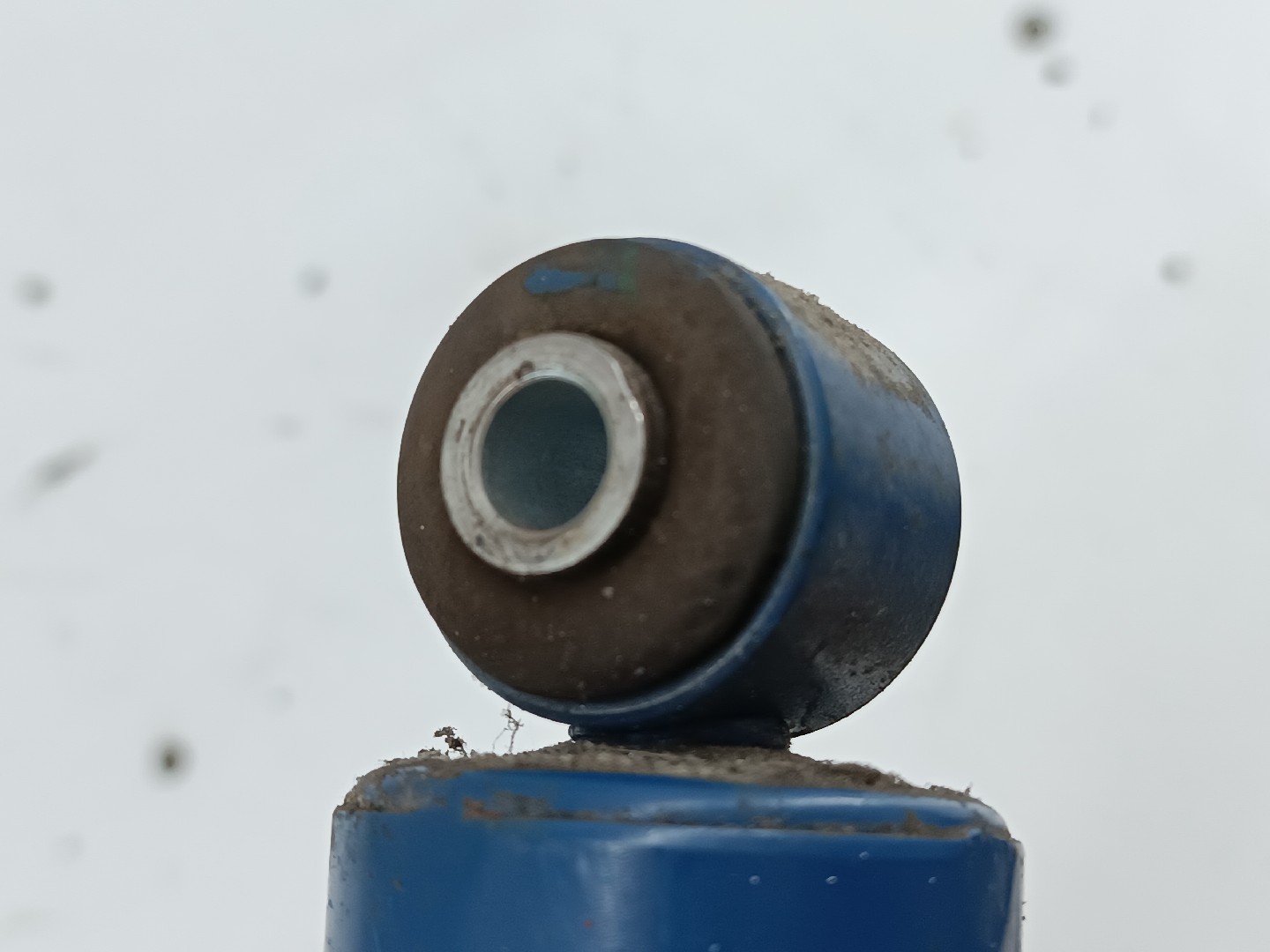 Amortecedores traseiros FIAT BRAVO I (182_) | 95 - 01 Imagem-1