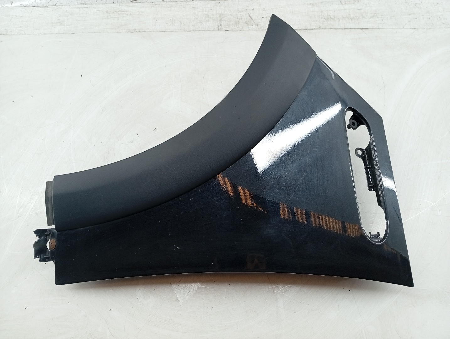 Guarda Lamas Esquerdo MINI MINI (R50, R53) | 01 - 06