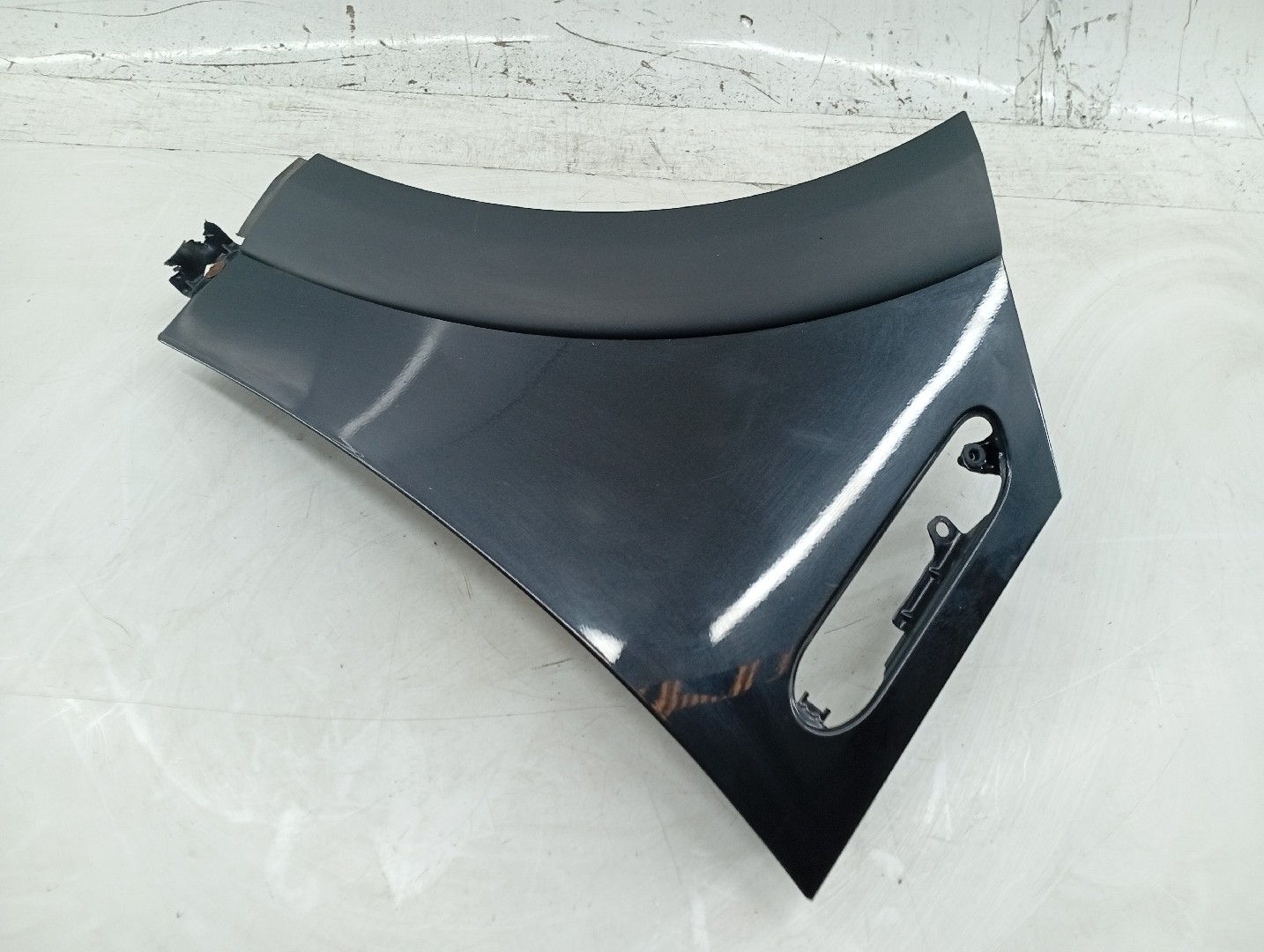 Guarda Lamas Esquerdo MINI MINI (R50, R53) | 01 - 06 Imagem-2