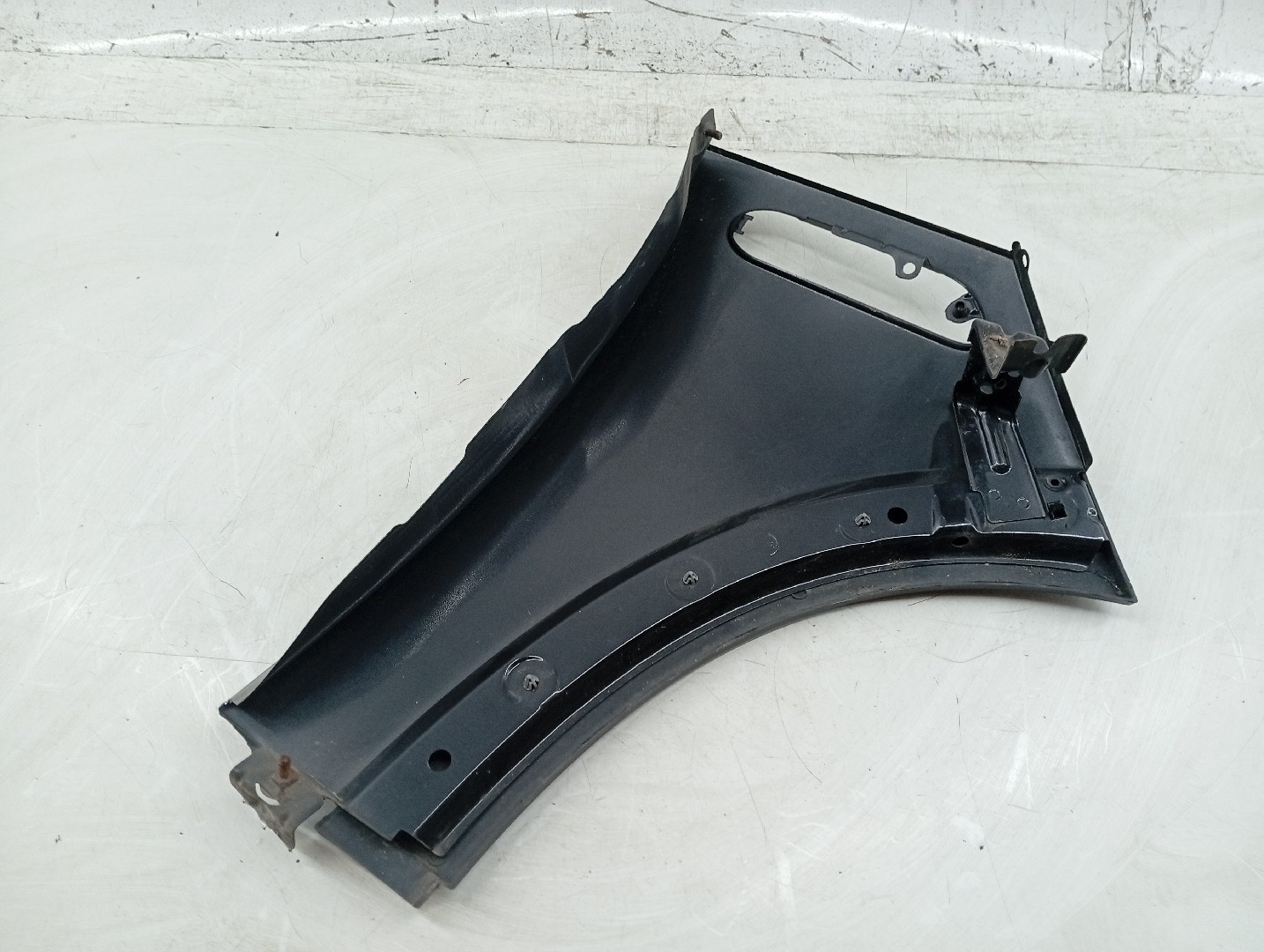 Guarda Lamas Esquerdo MINI MINI (R50, R53) | 01 - 06 Imagem-3