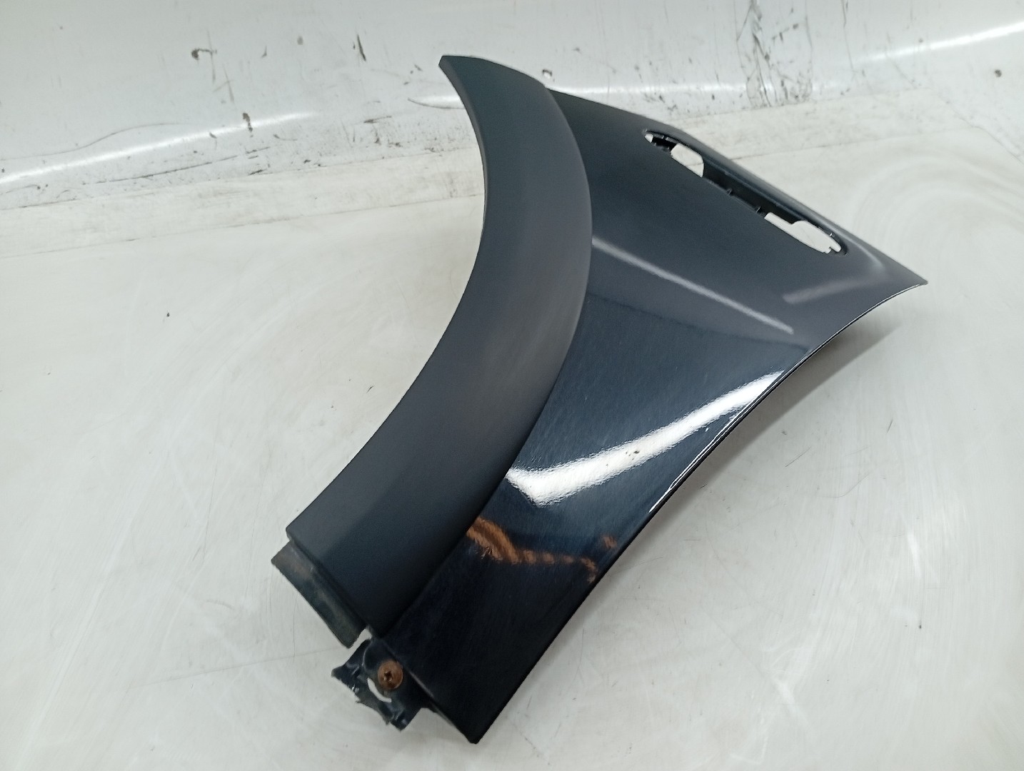Guarda Lamas Esquerdo MINI MINI (R50, R53) | 01 - 06 Imagem-1