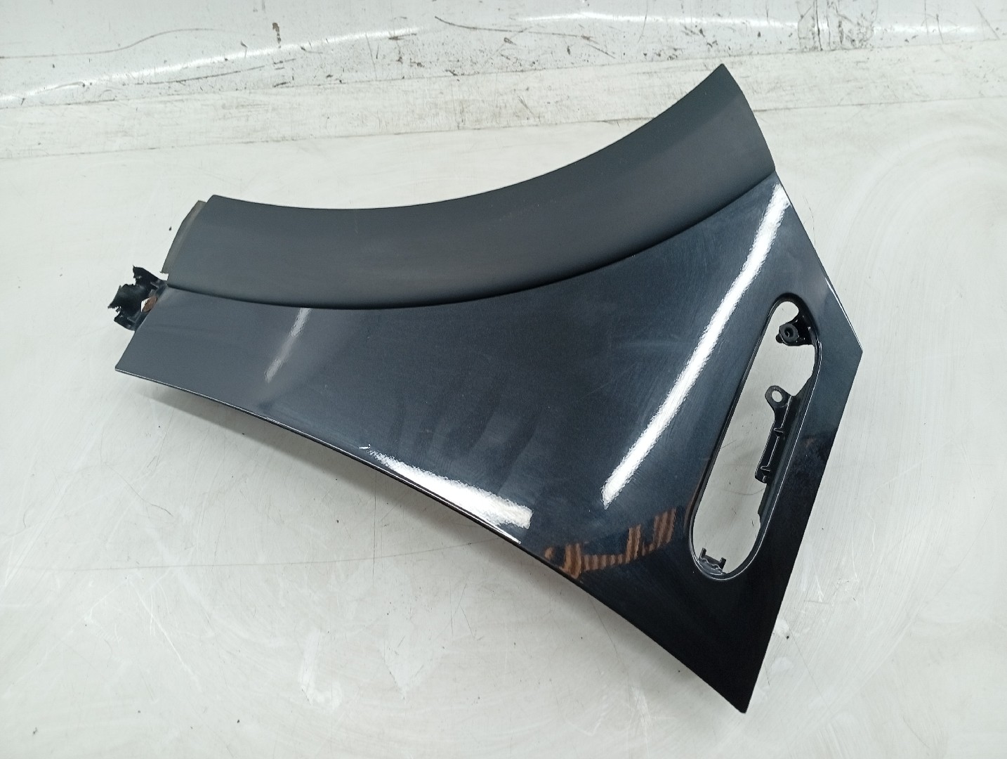 Guarda Lamas Esquerdo MINI MINI (R50, R53) | 01 - 06 Imagem-5