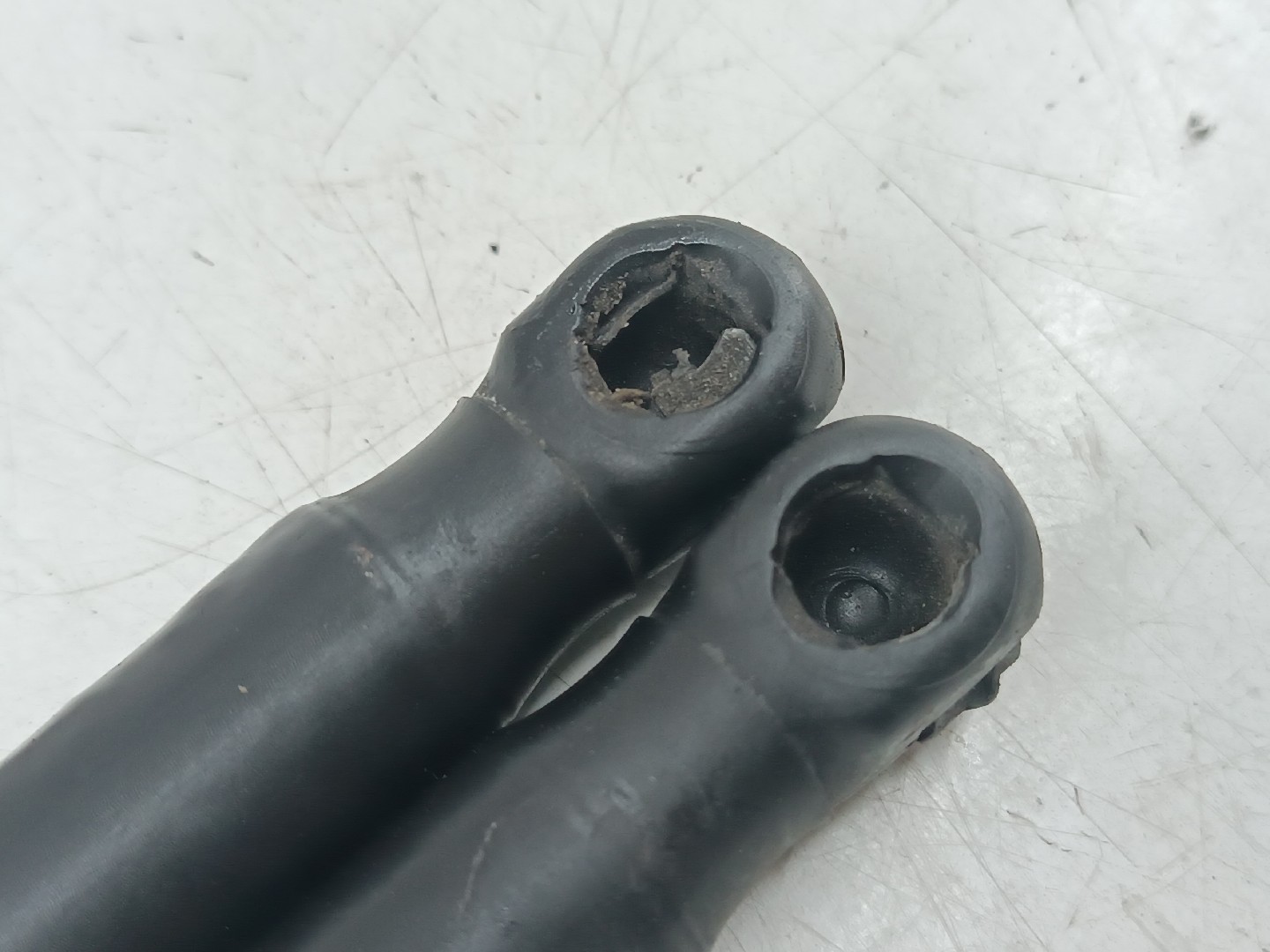 Amortecedores do capô FIAT STILO (192_) | 01 - 10 Imagem-3