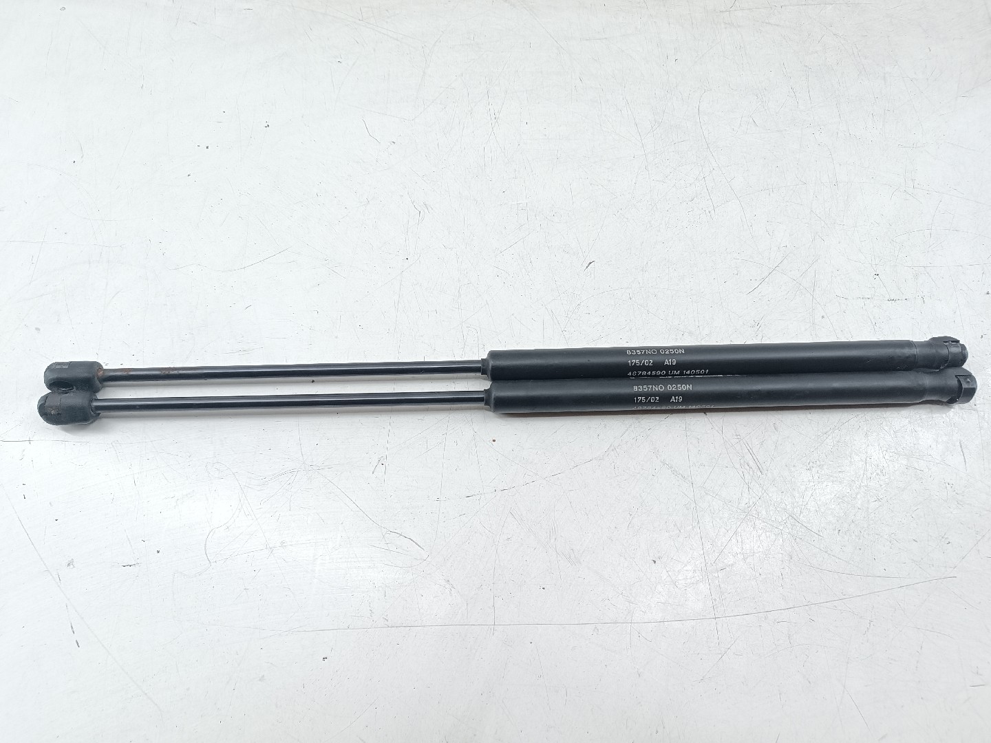 Amortecedores do capô FIAT STILO (192_) | 01 - 10