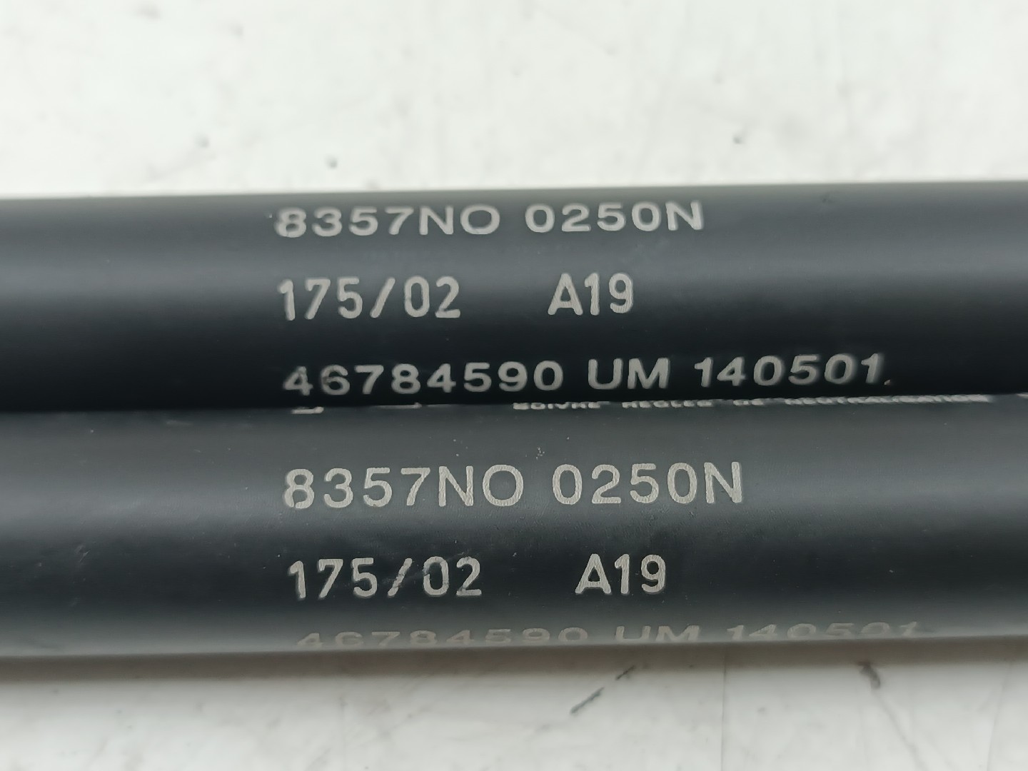 Amortecedores do capô FIAT STILO (192_) | 01 - 10 Imagem-2