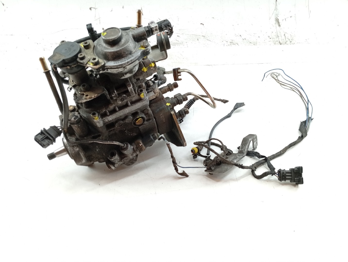 Bomba de injecção FIAT PALIO Weekend (178_) | 96 - 