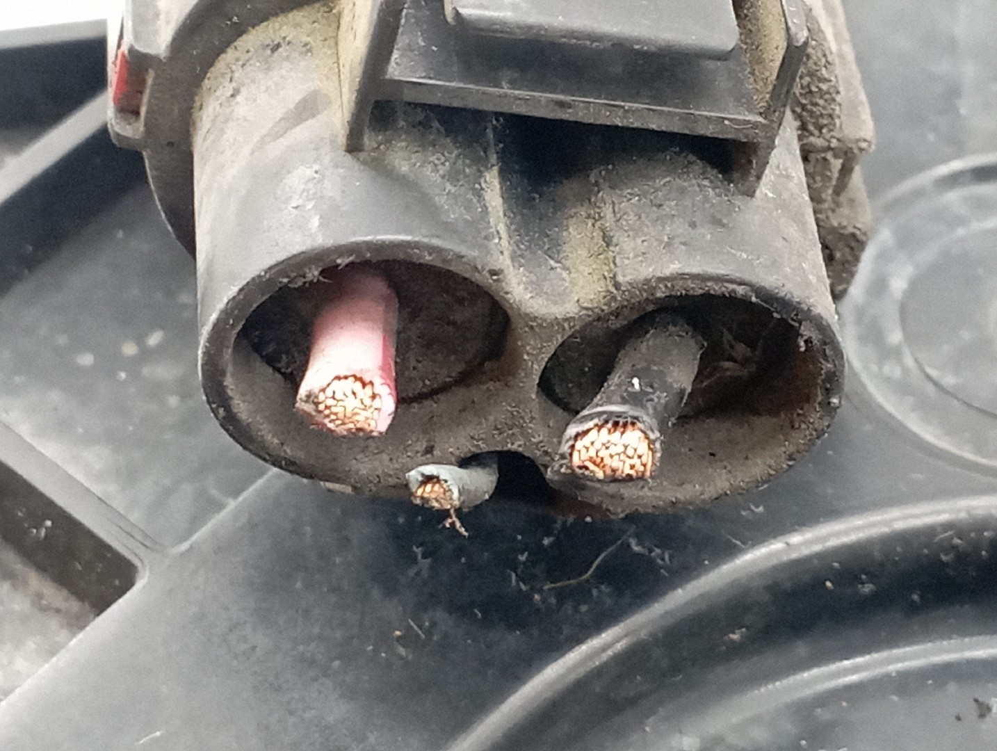 Termo ventilador MAZDA 3 (BK) | 03 - 09 Imagem-6