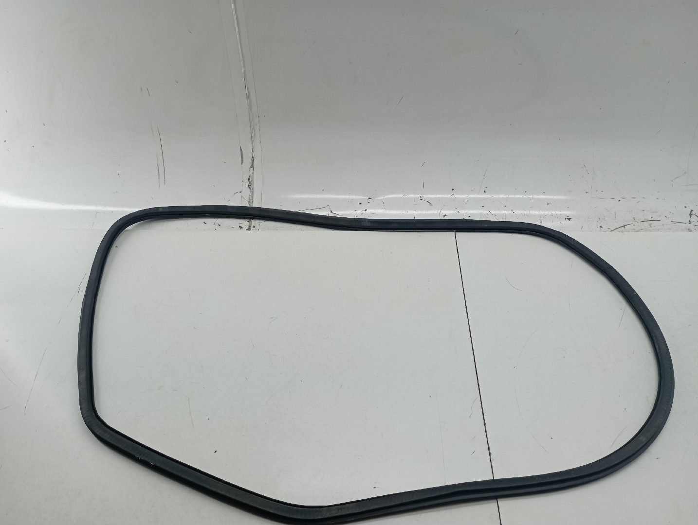 Borracha Porta Tras Esquerdo SEAT EXEO ST (3R5) | 09 - 13