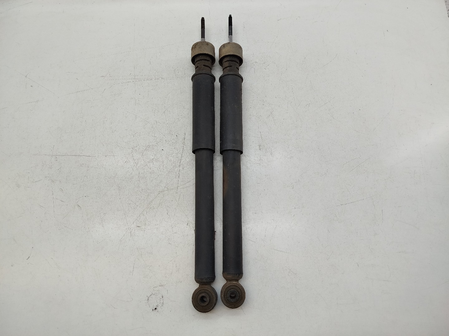 Amortecedores traseiros RENAULT CLIO II (BB_, CB_) | 98 -  Imagem-2