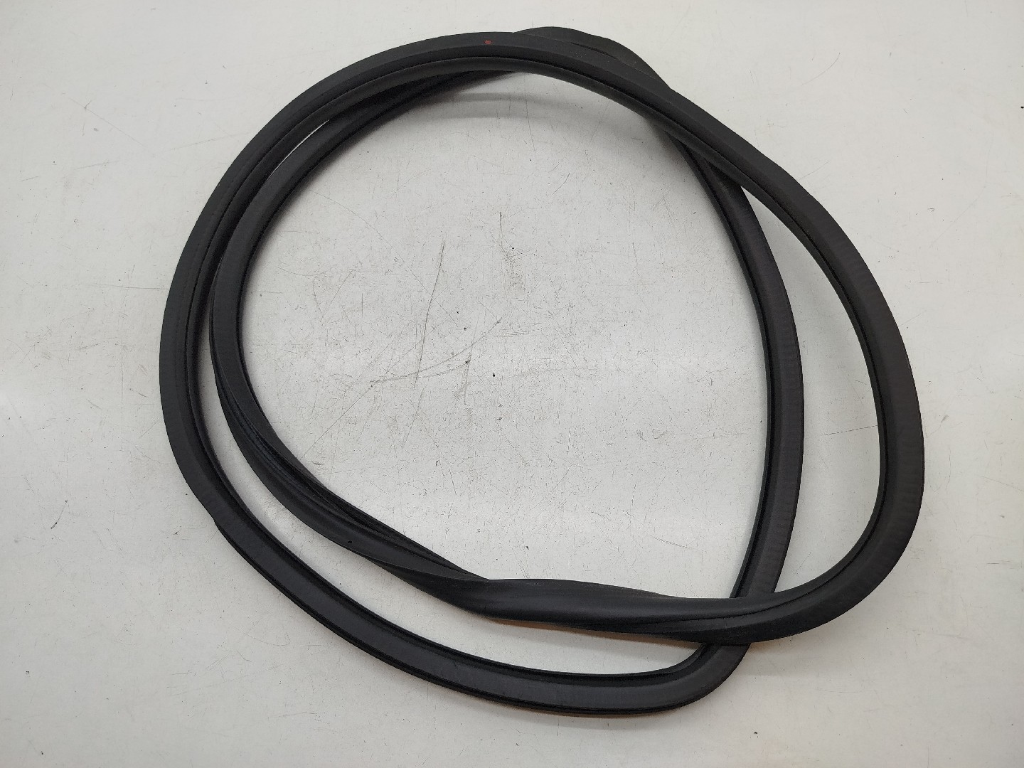 Borracha Da Porta Traseira Direita SEAT TOLEDO III (5P2) | 04 - 09