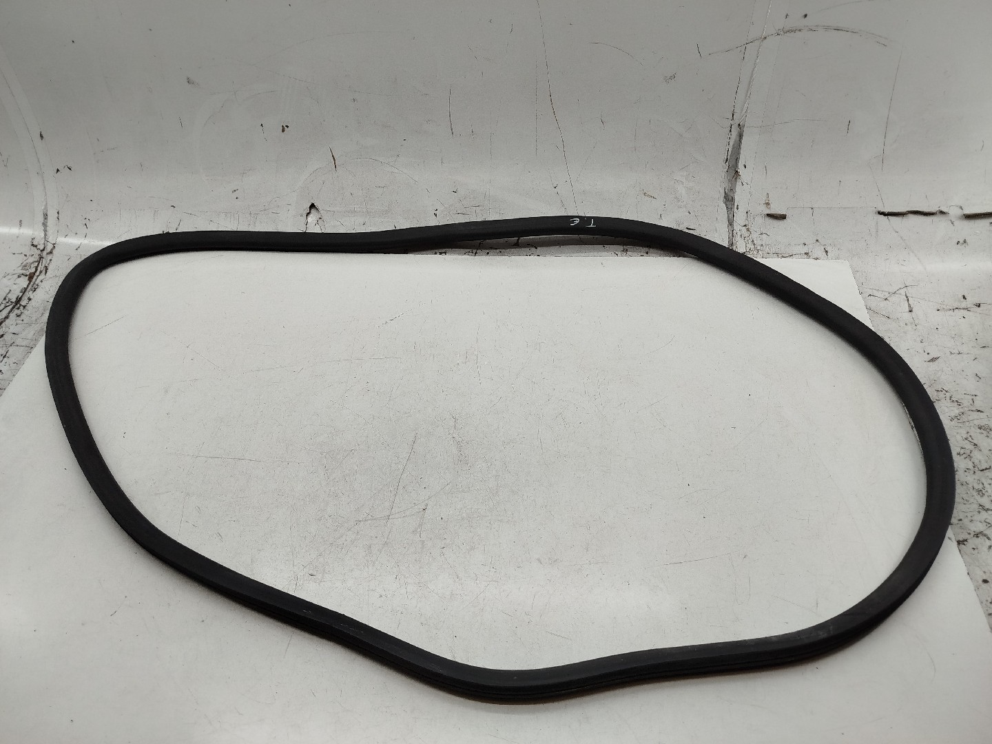 Borracha Da Porta Traseira Esquerda SEAT TOLEDO III (5P2) | 04 - 09