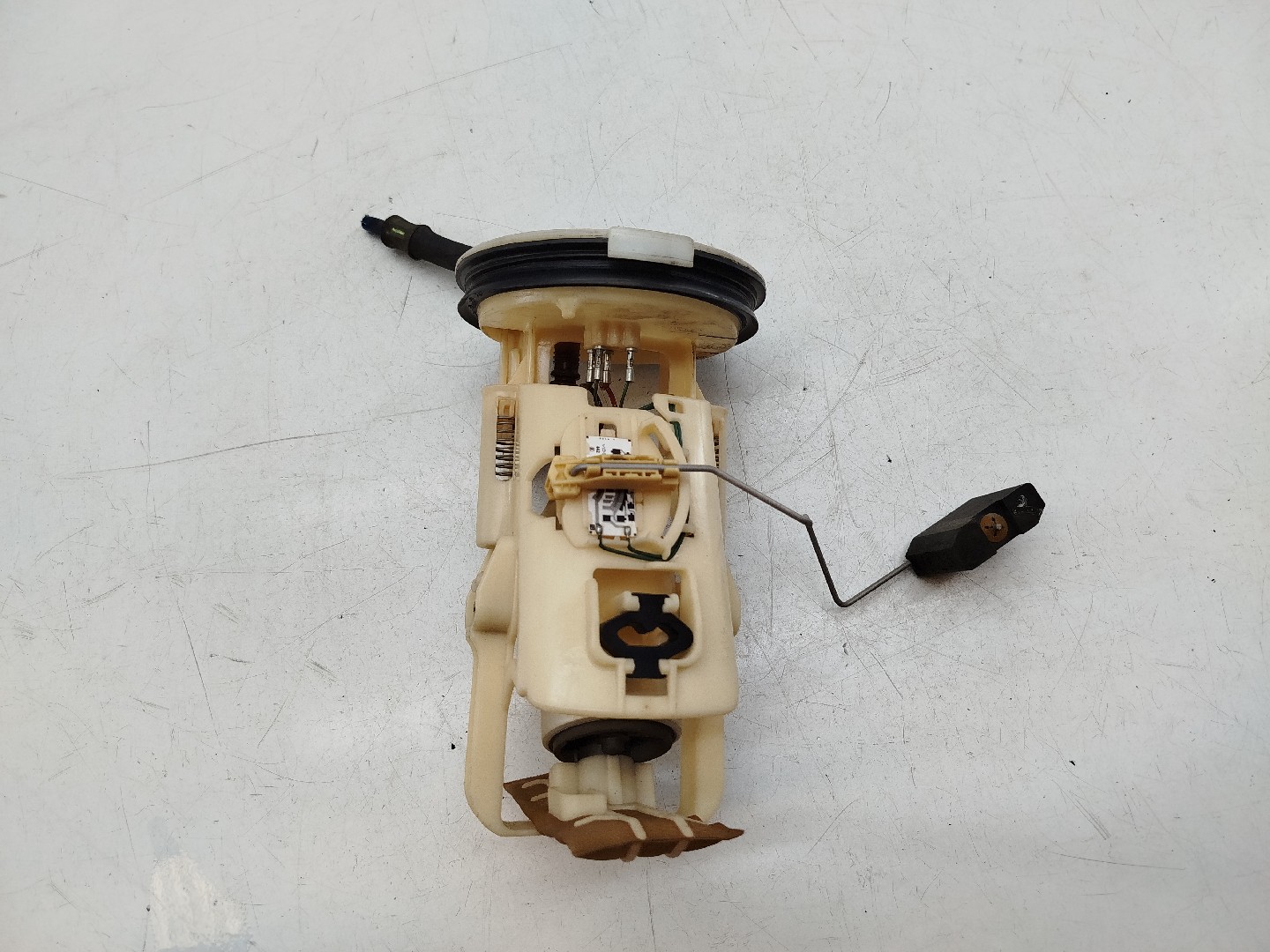 Bomba de Combustível BMW 3 Compact (E46) | 01 - 05 Imagem-4