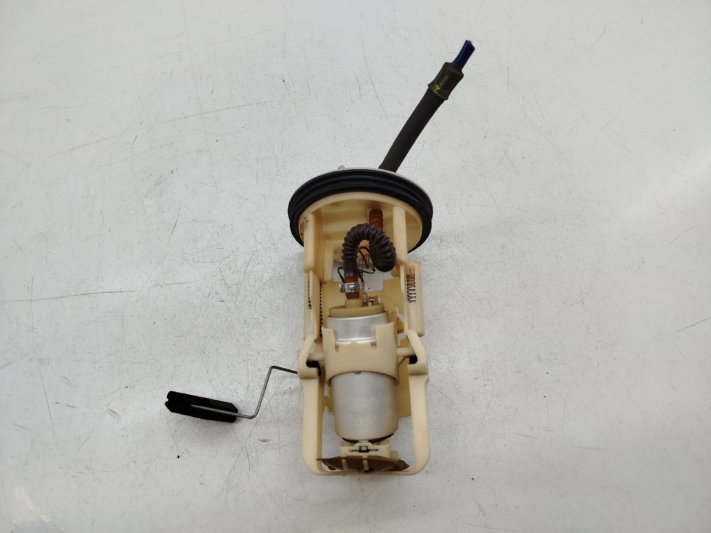 Bomba de Combustível BMW 3 Compact (E46) | 01 - 05 Imagem-5
