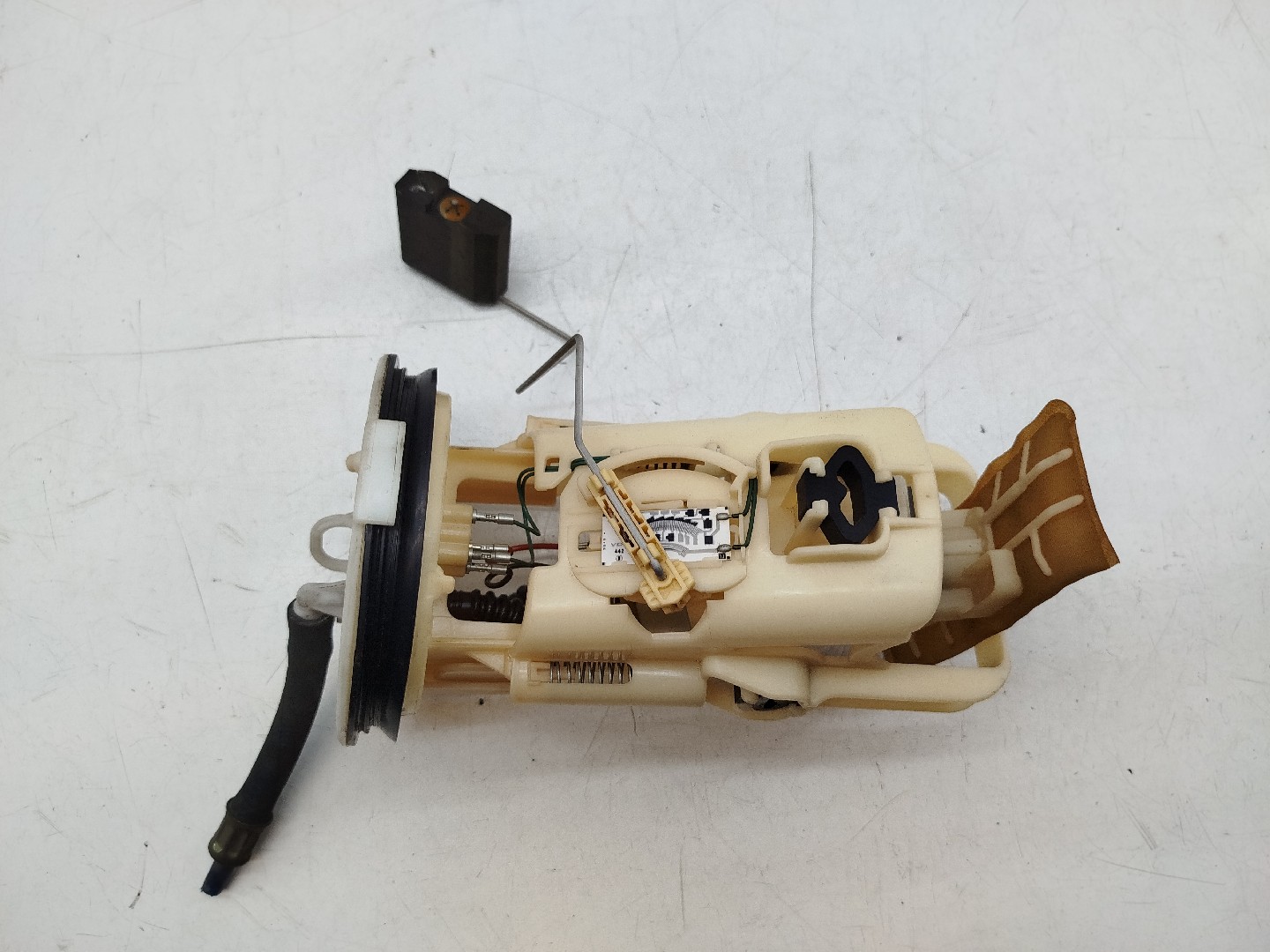 Bomba de Combustível BMW 3 Compact (E46) | 01 - 05 Imagem-3