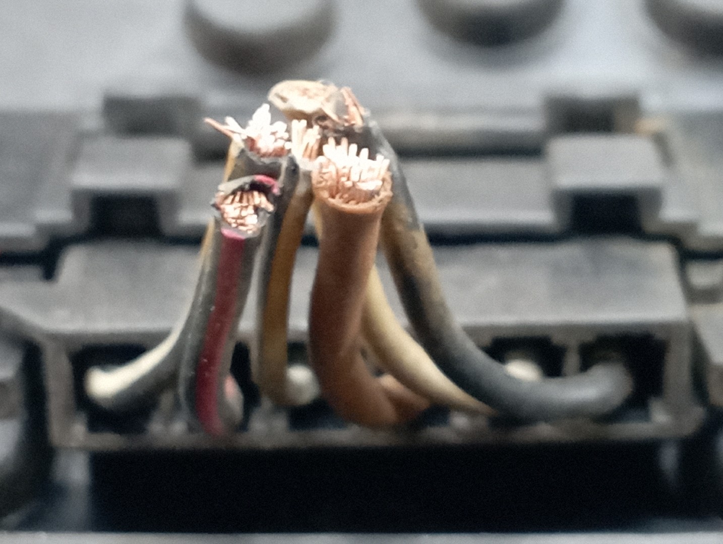 Farolim Stop Esquerdo SEAT IBIZA II (6K1) | 93 - 02 Imagem-2