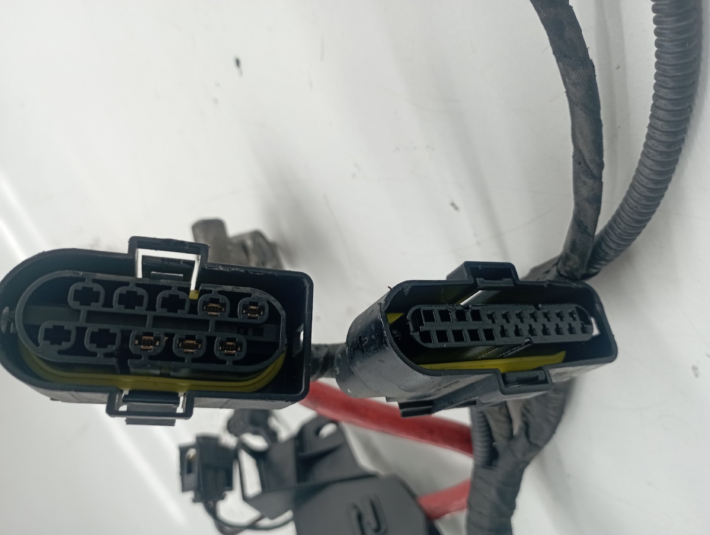 Instalação elétrica de porta BMW 3 Compact (E46) | 01 - 05 Imagem-5