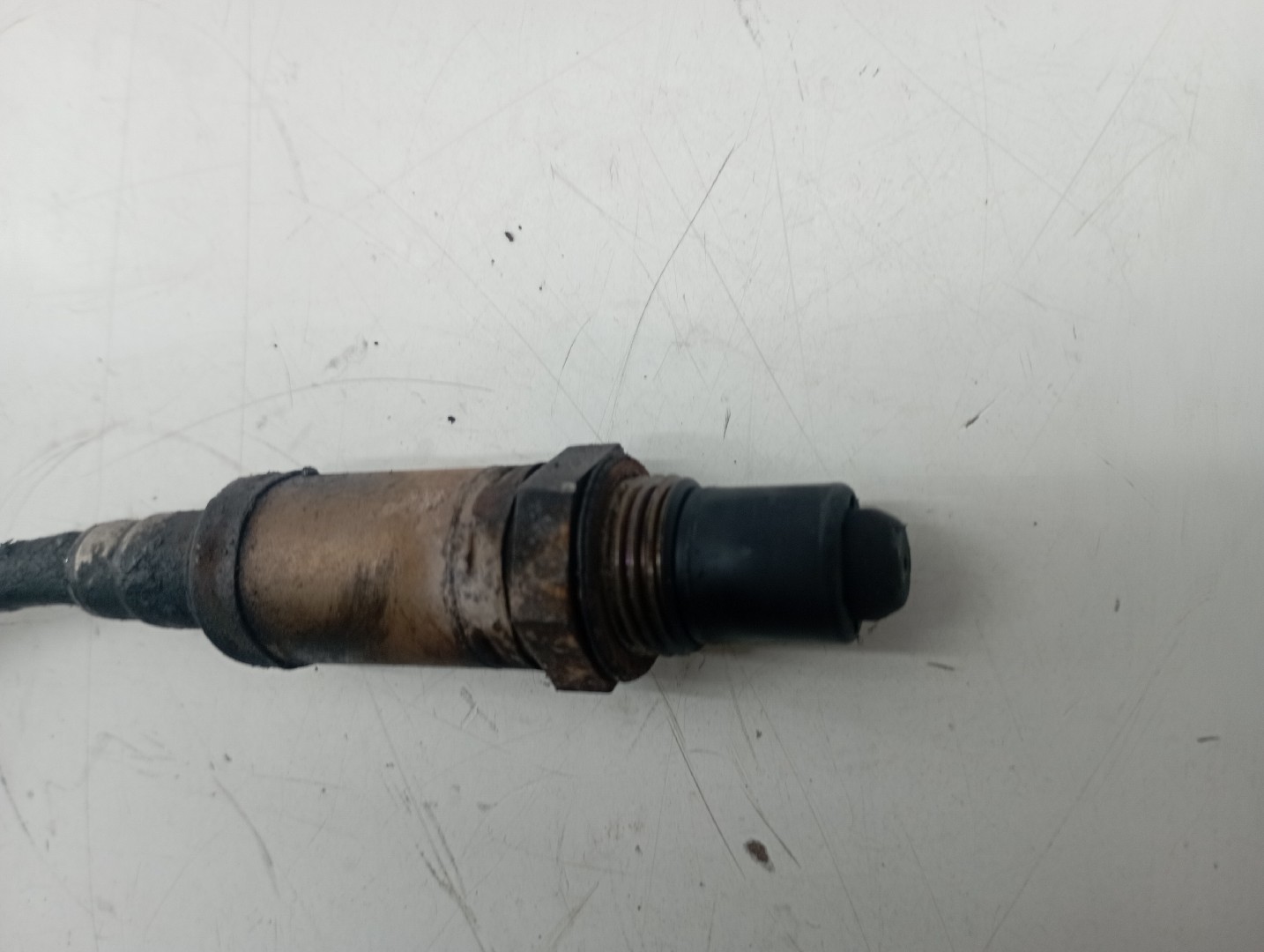 Sonda Lambda BMW 3 Compact (E46) | 01 - 05 Imagem-1