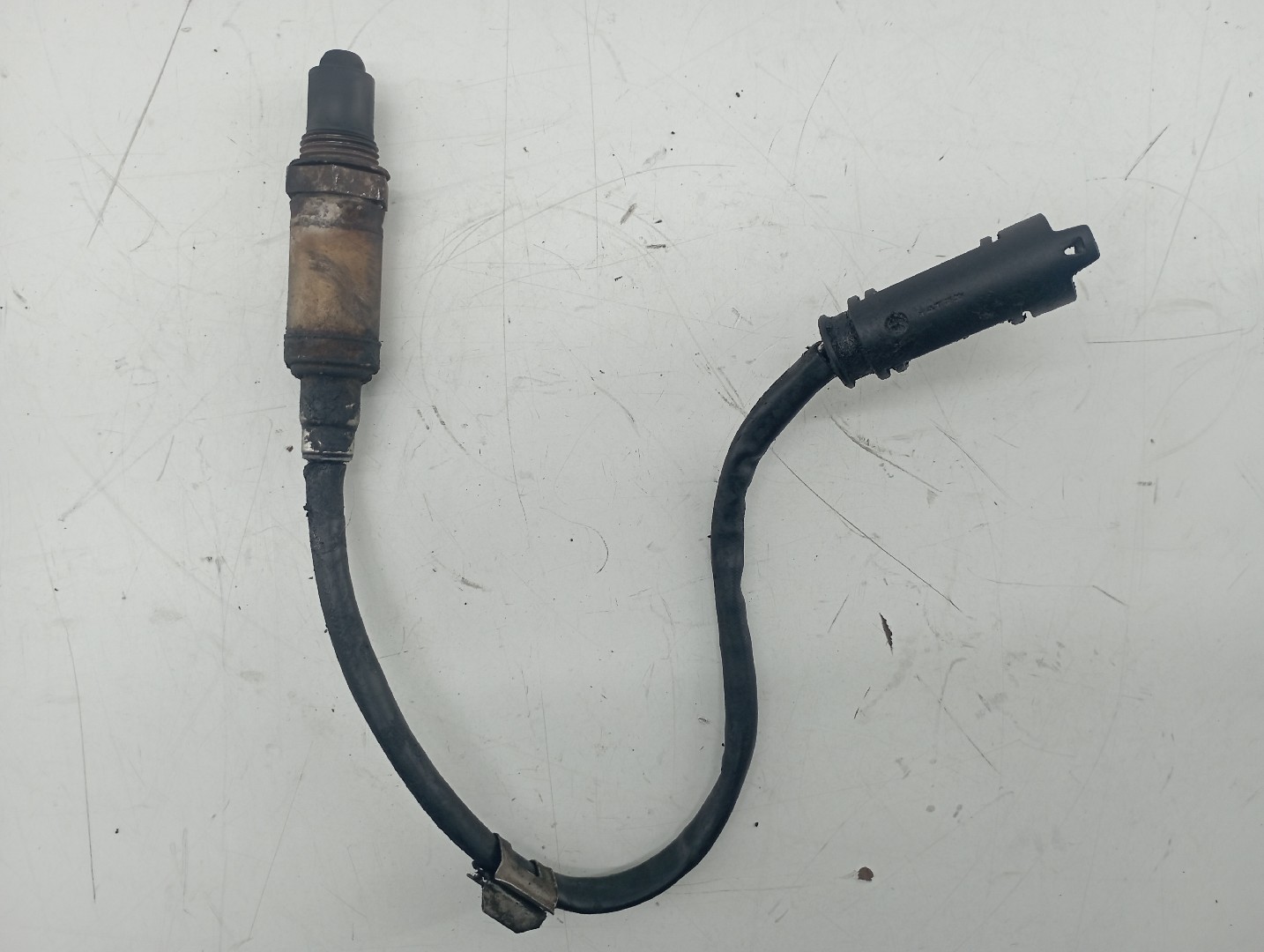 Sonda Lambda BMW 3 Compact (E46) | 01 - 05 Imagem-3