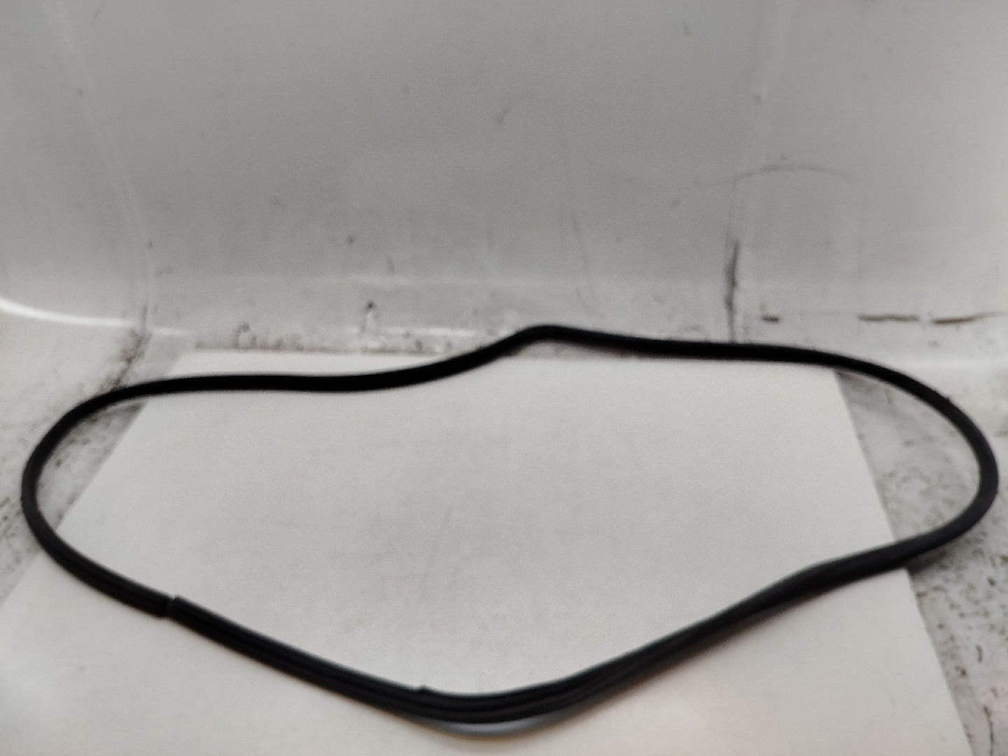 Borracha Porta Frente Esquerdo BMW 3 Compact (E46) | 01 - 05