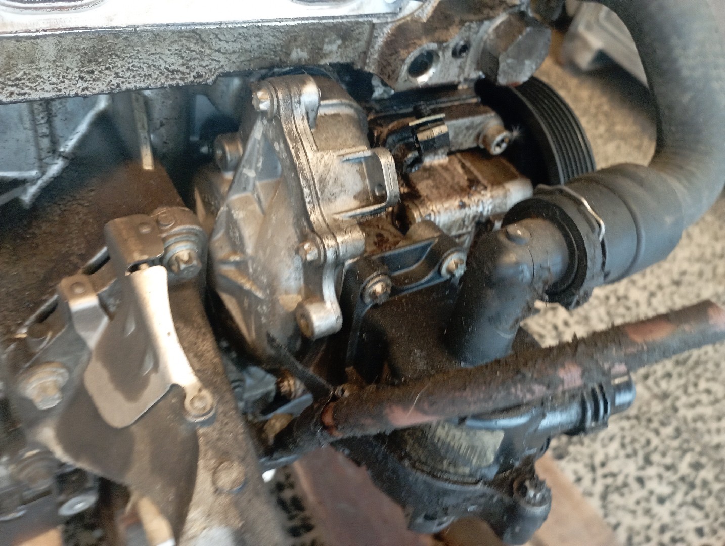 Motor BMW 3 Compact (E46) | 01 - 05 Imagem-2