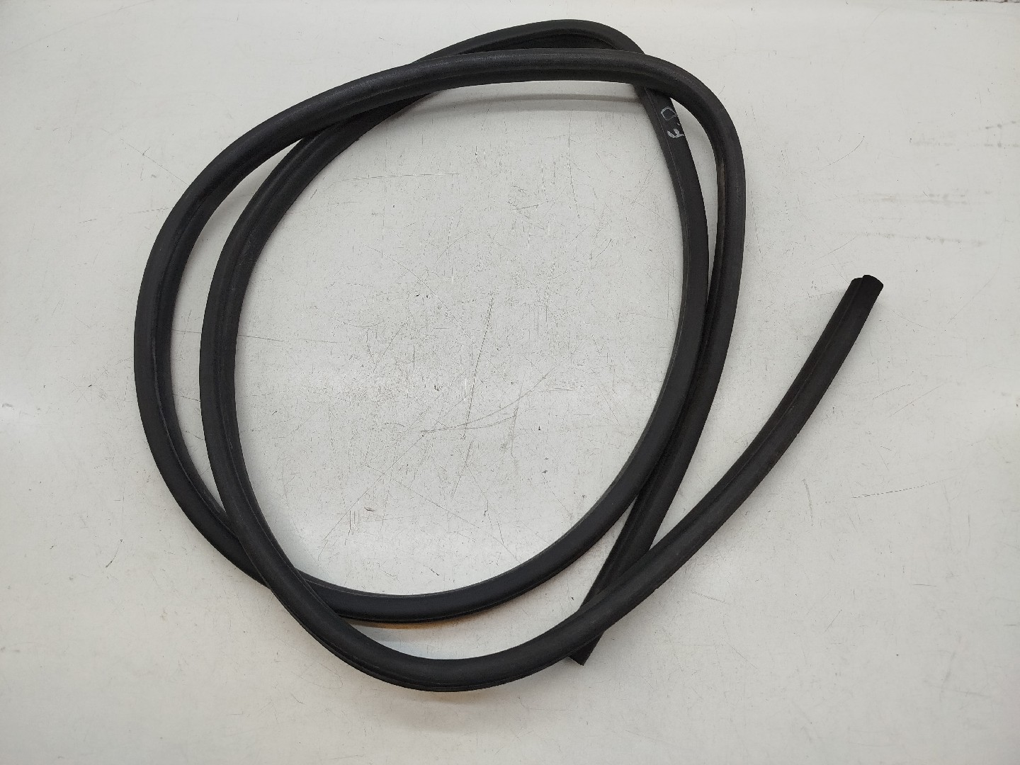 Borracha Porta Frente Direito BMW 3 Compact (E46) | 01 - 05