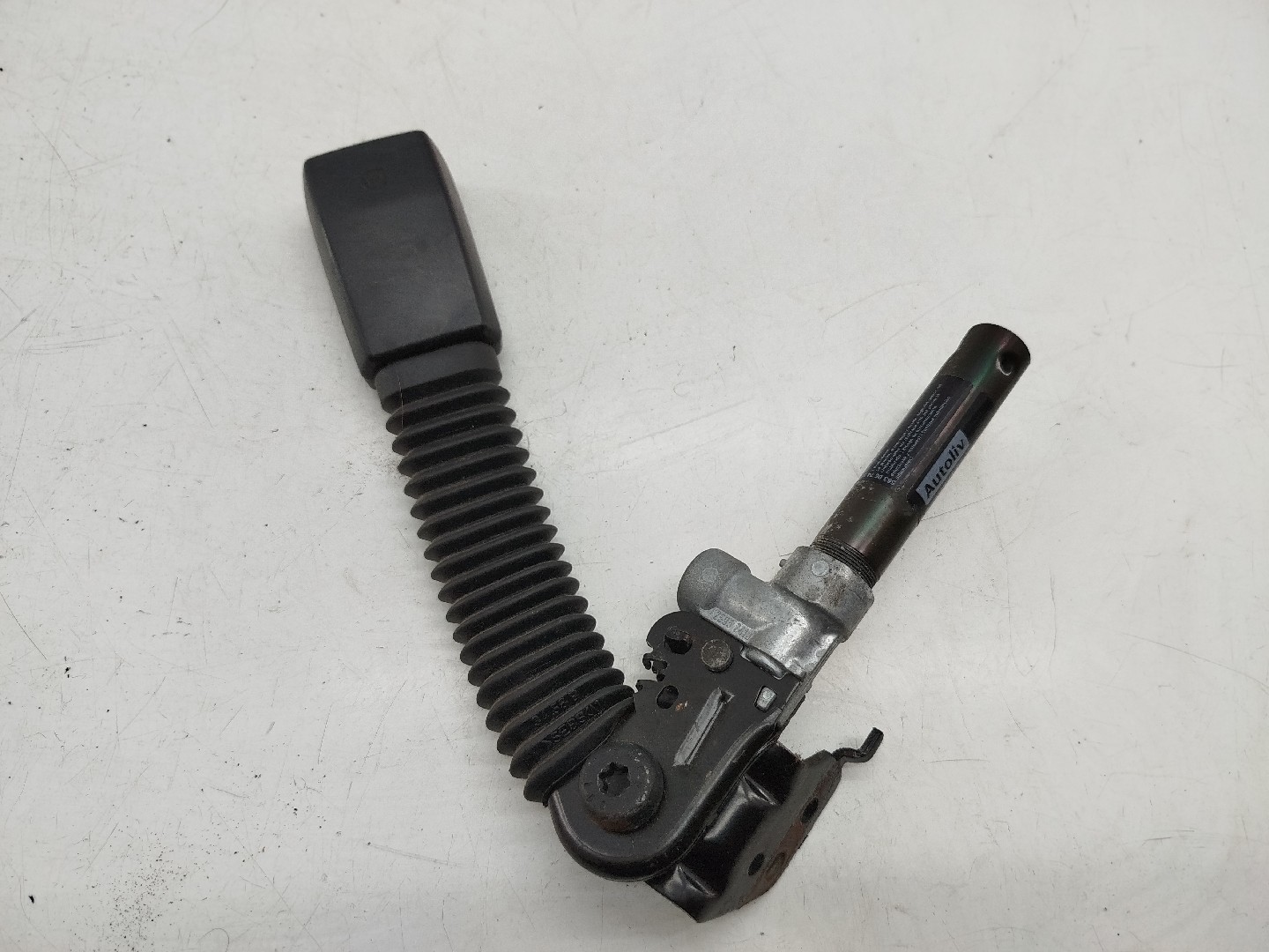 Pré tensor frente esquerdo BMW 3 (E46) | 97 - 05 Imagem-4