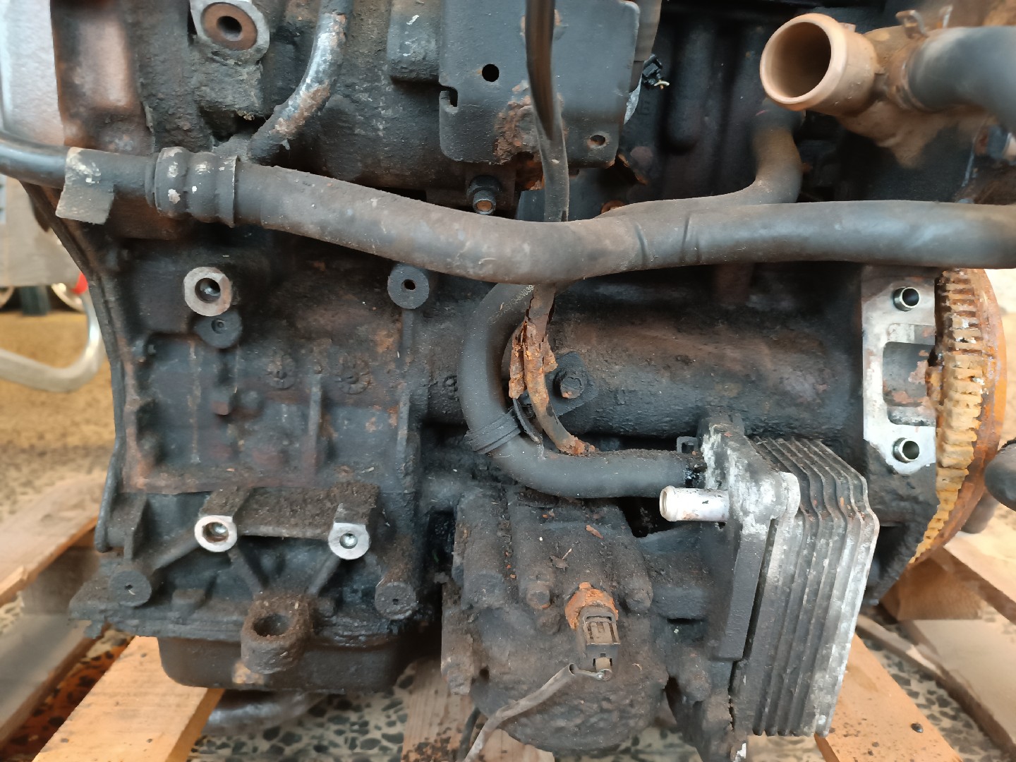 Motor JAGUAR X-TYPE (X400) | 01 - 09 Imagem-6