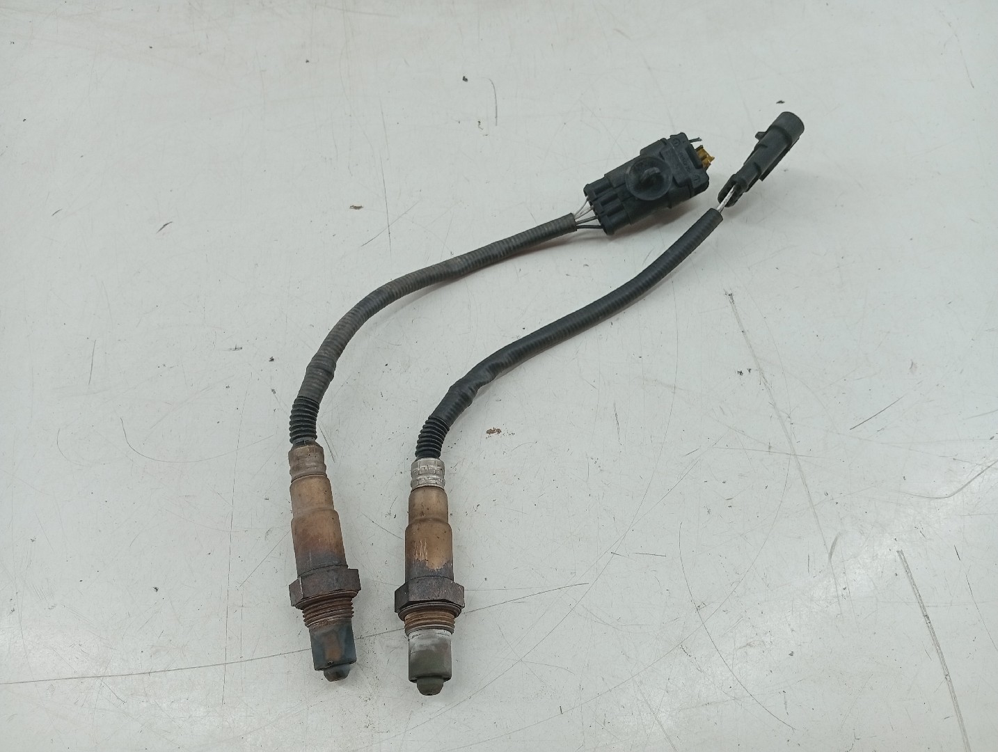 Sonda Lambda FIAT PUNTO EVO (199_) | 08 - 