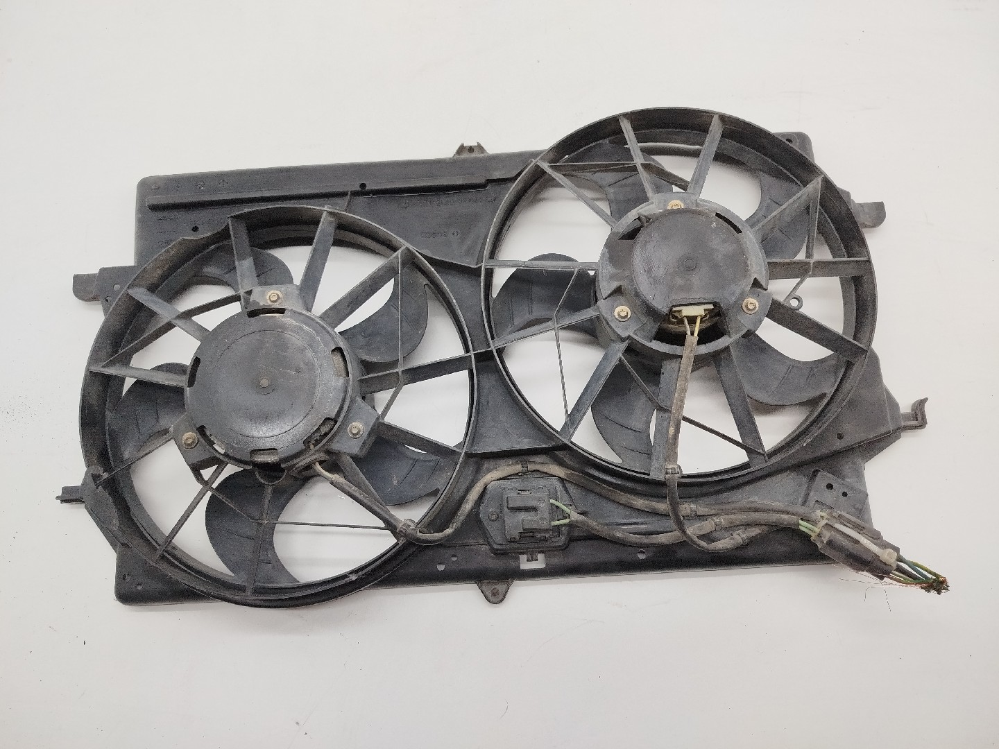 Termo ventilador FORD FOCUS (DAW, DBW) | 98 - 09